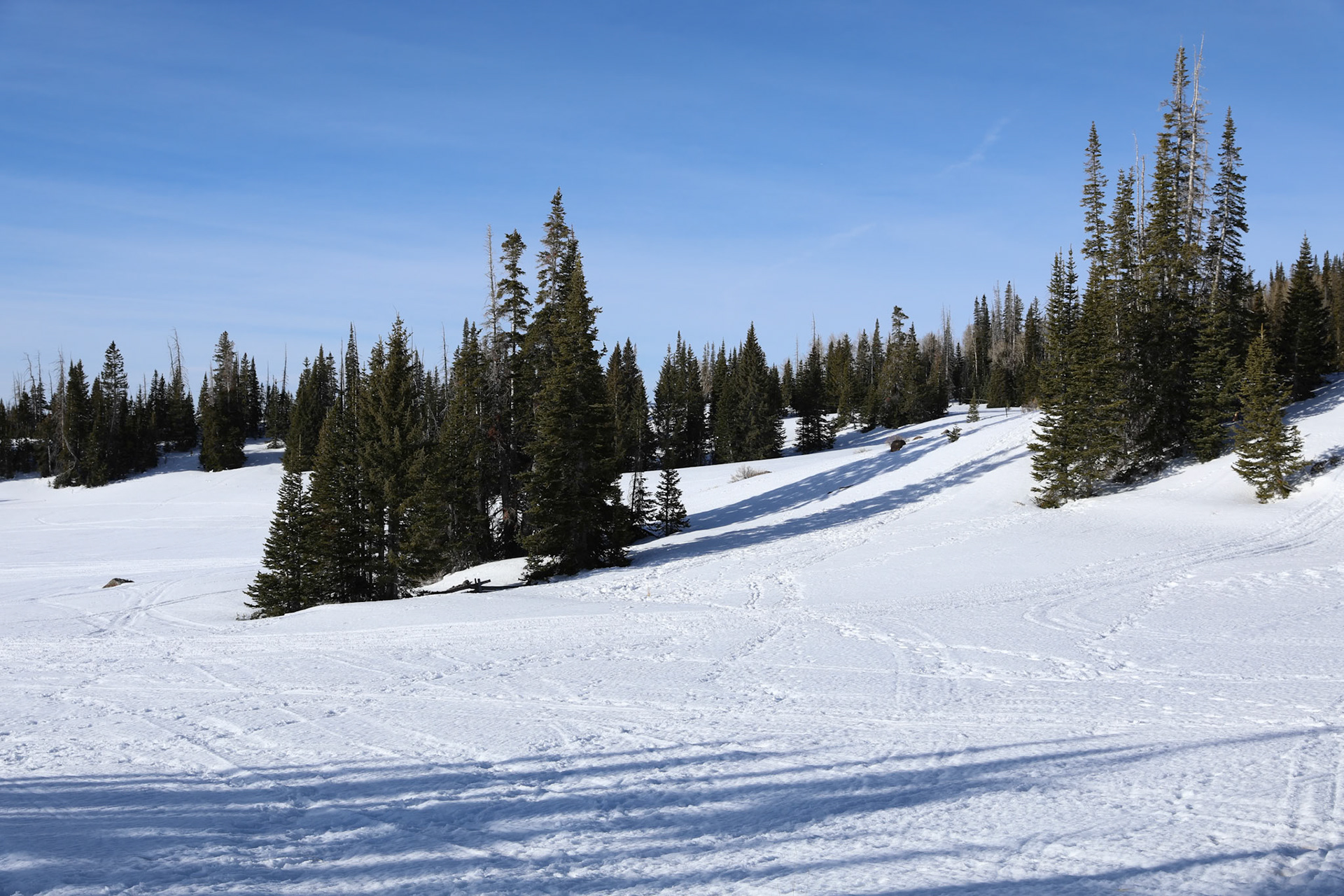 Abundant Snow > 10,000 ft