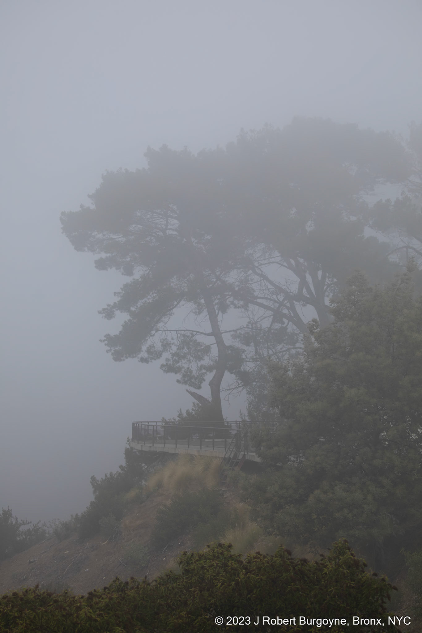 Foggy Hills