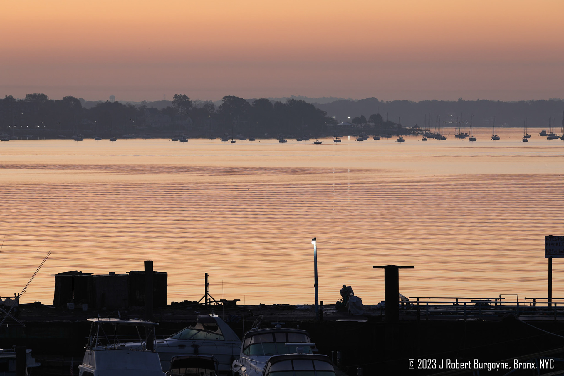 Peaceful ripples across the water