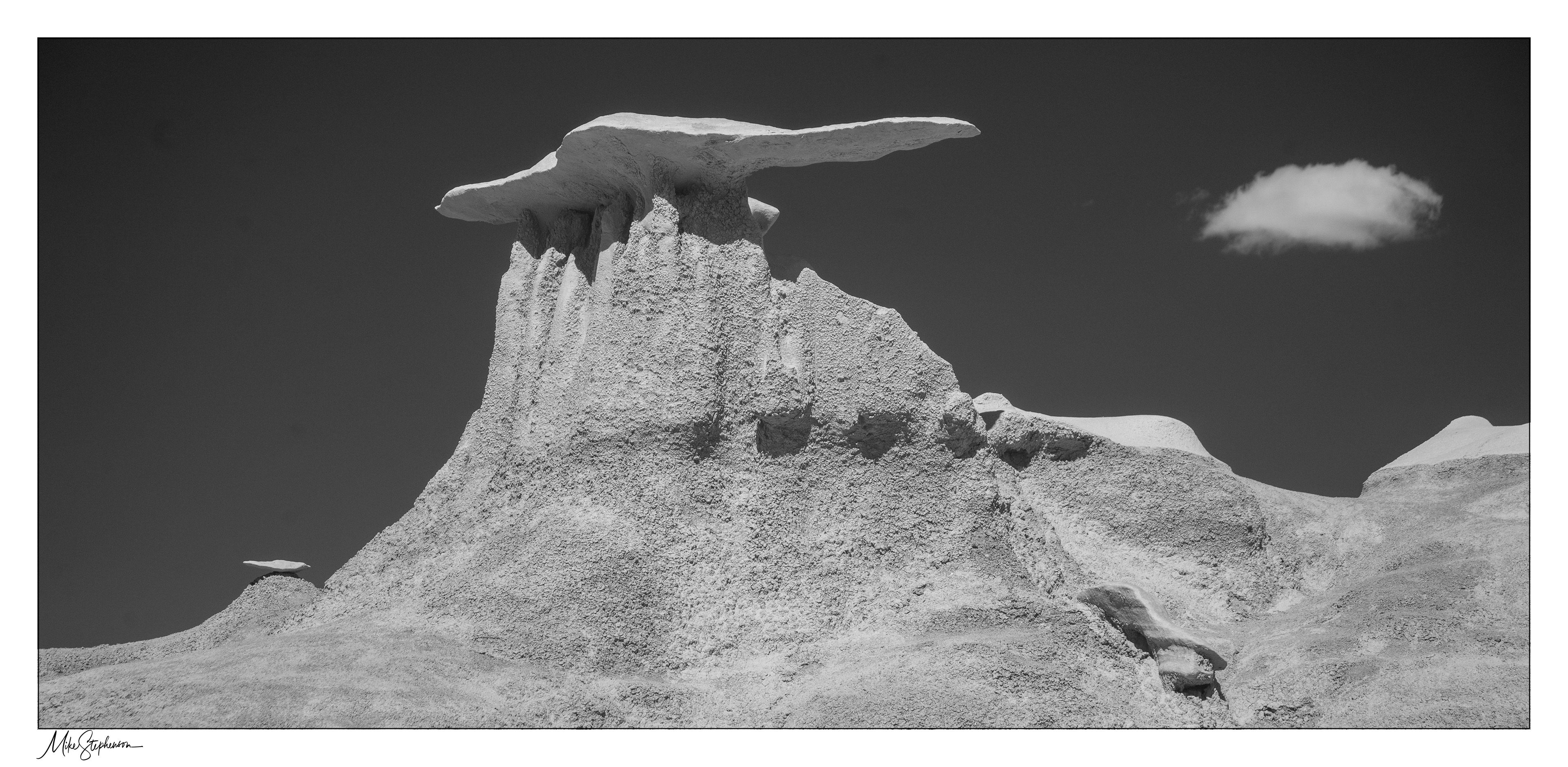 Bisti Badlands Mantis