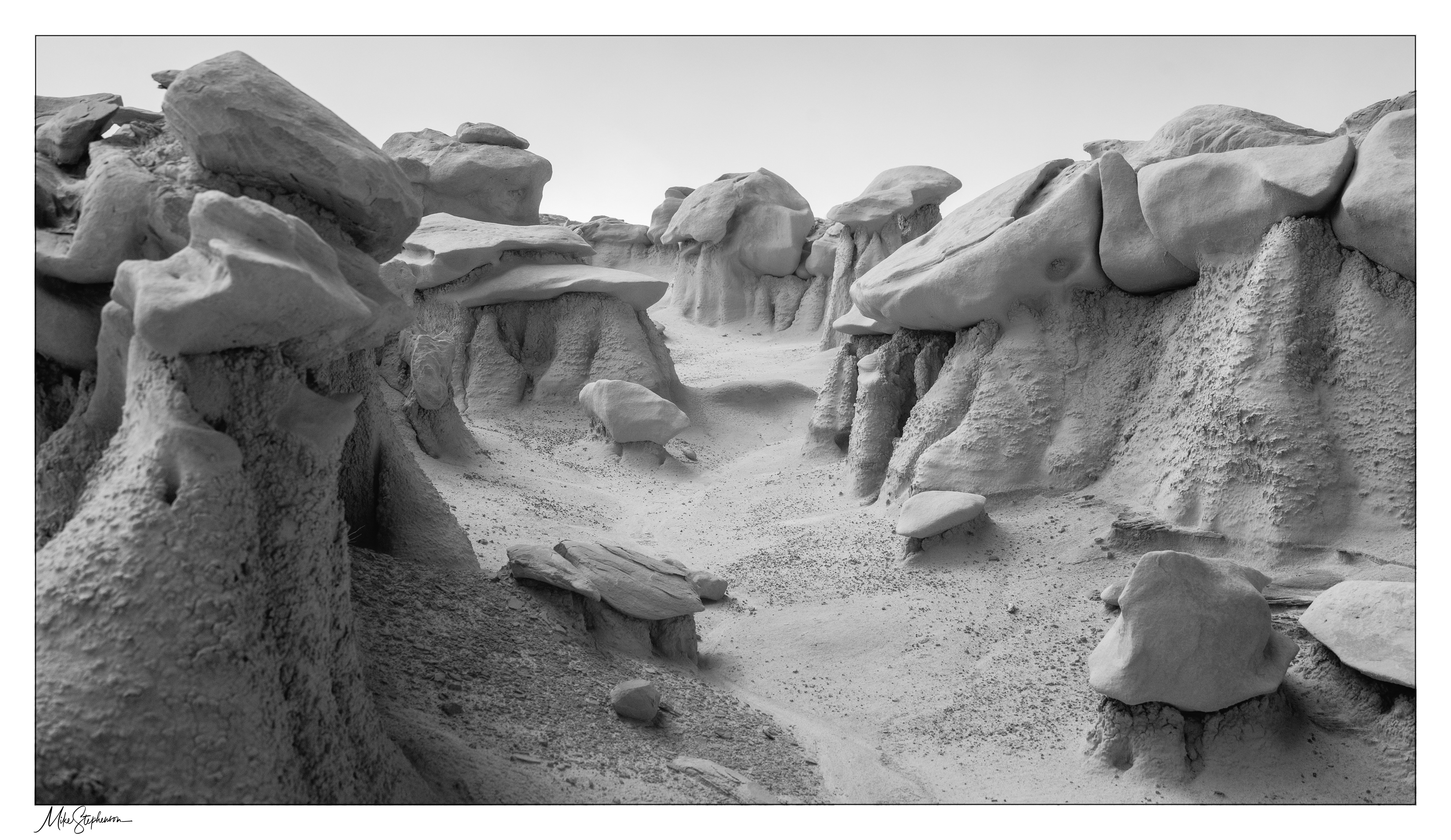 Bisti Badlands Shaped Rock
