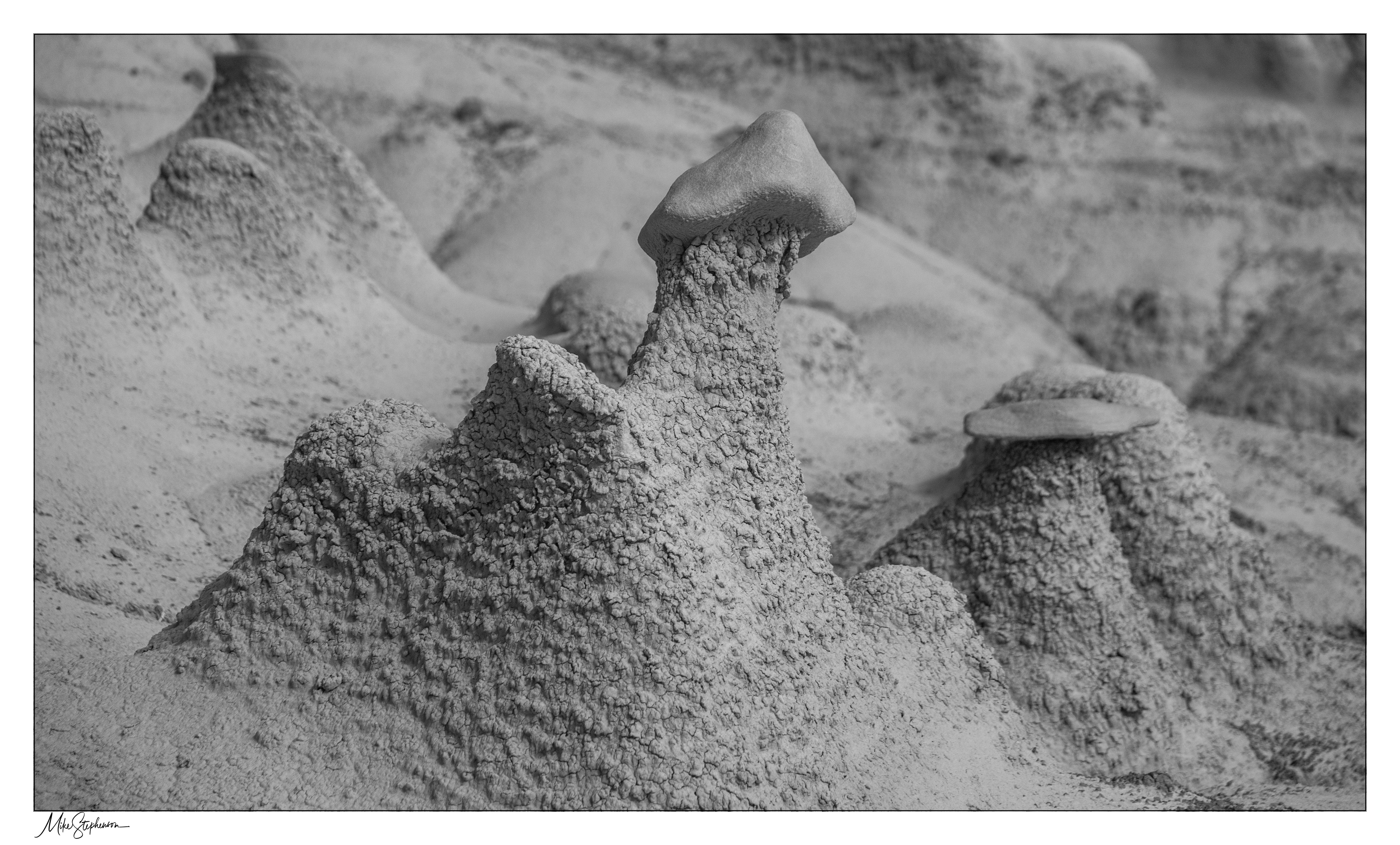 Bisti Badlands Shaped Rock