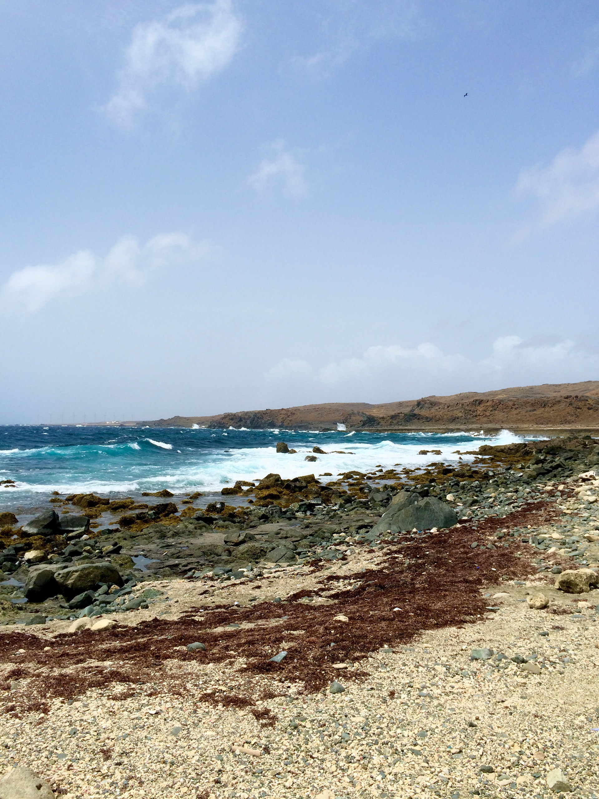 Aruba III