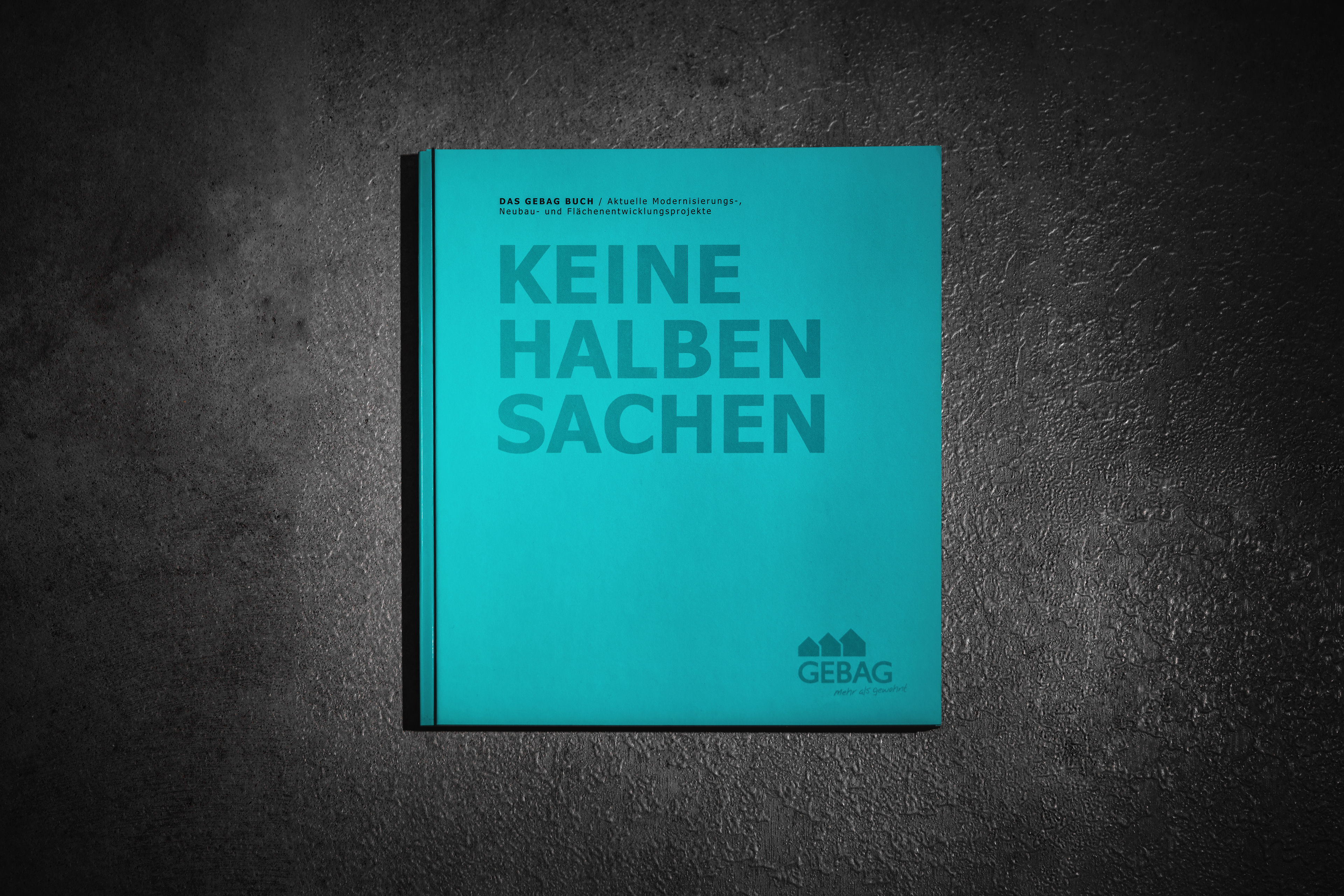 "Keine halben Sachen" 2016 / GEBAG