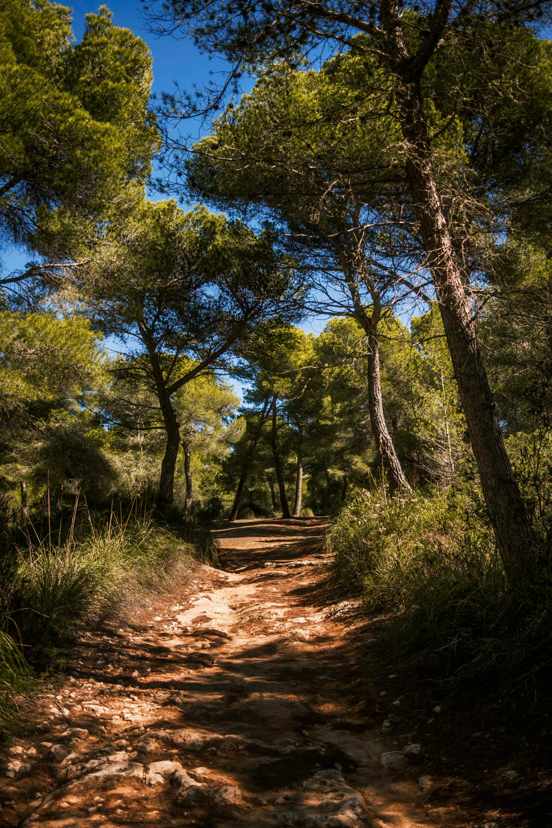 Spanien / Mallorca