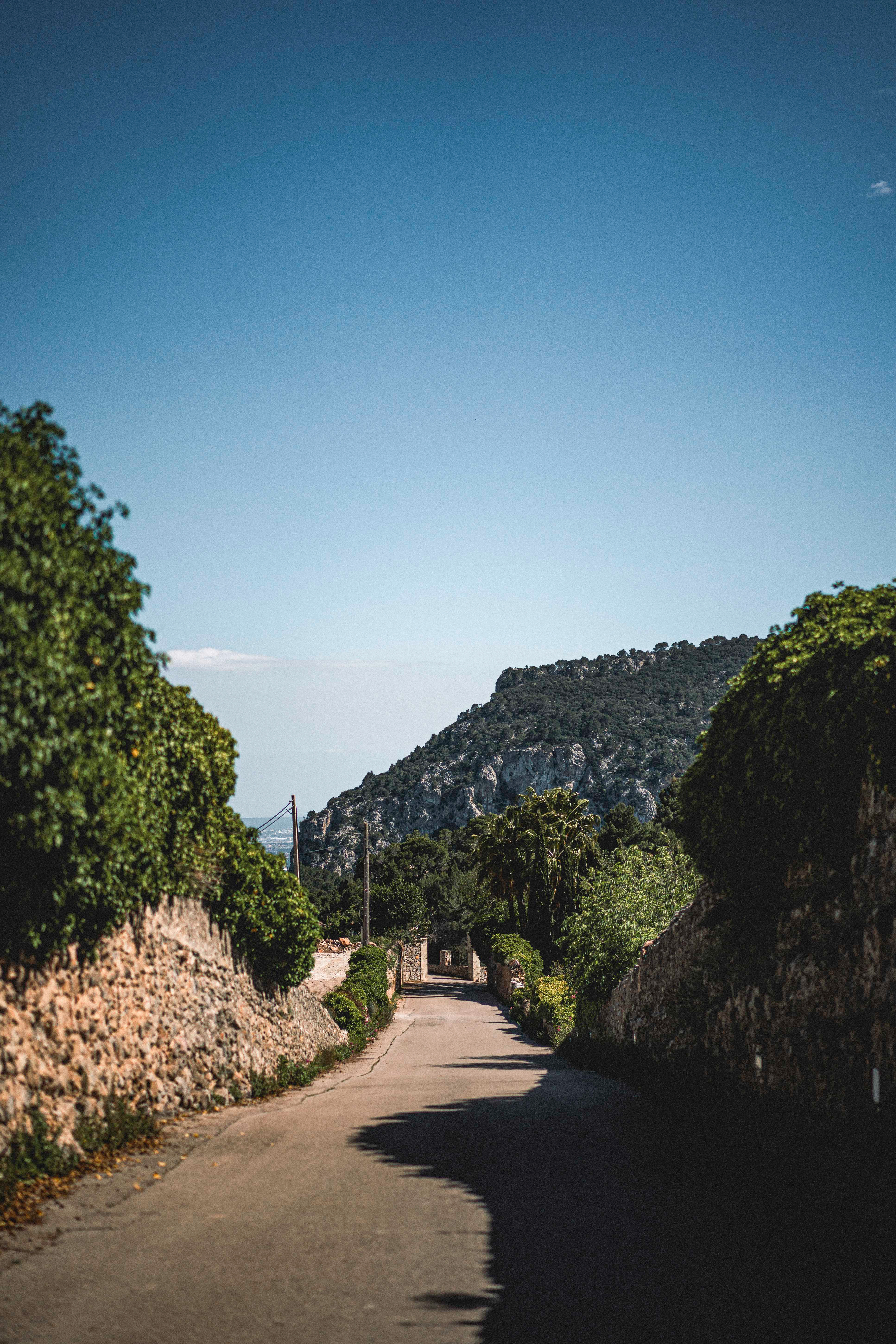 Mallorca / Valldemossa