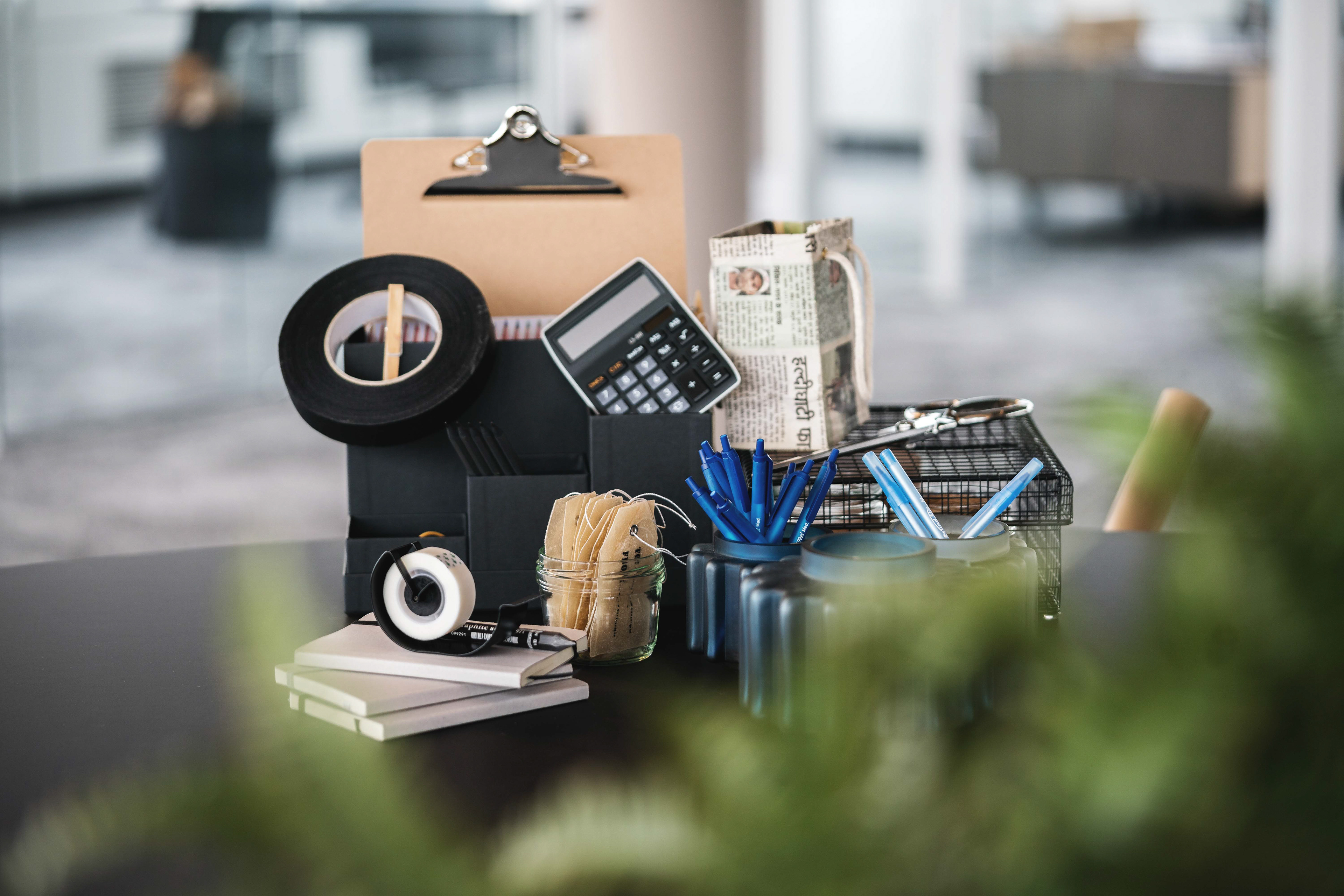 Take Off / Raumblüte