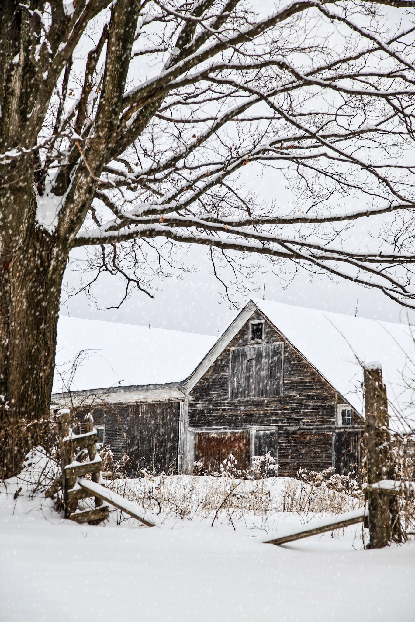 "Potter's Barn" --Clarendon