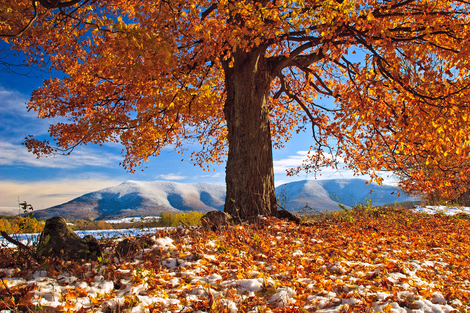 "Change of Season" --Danby