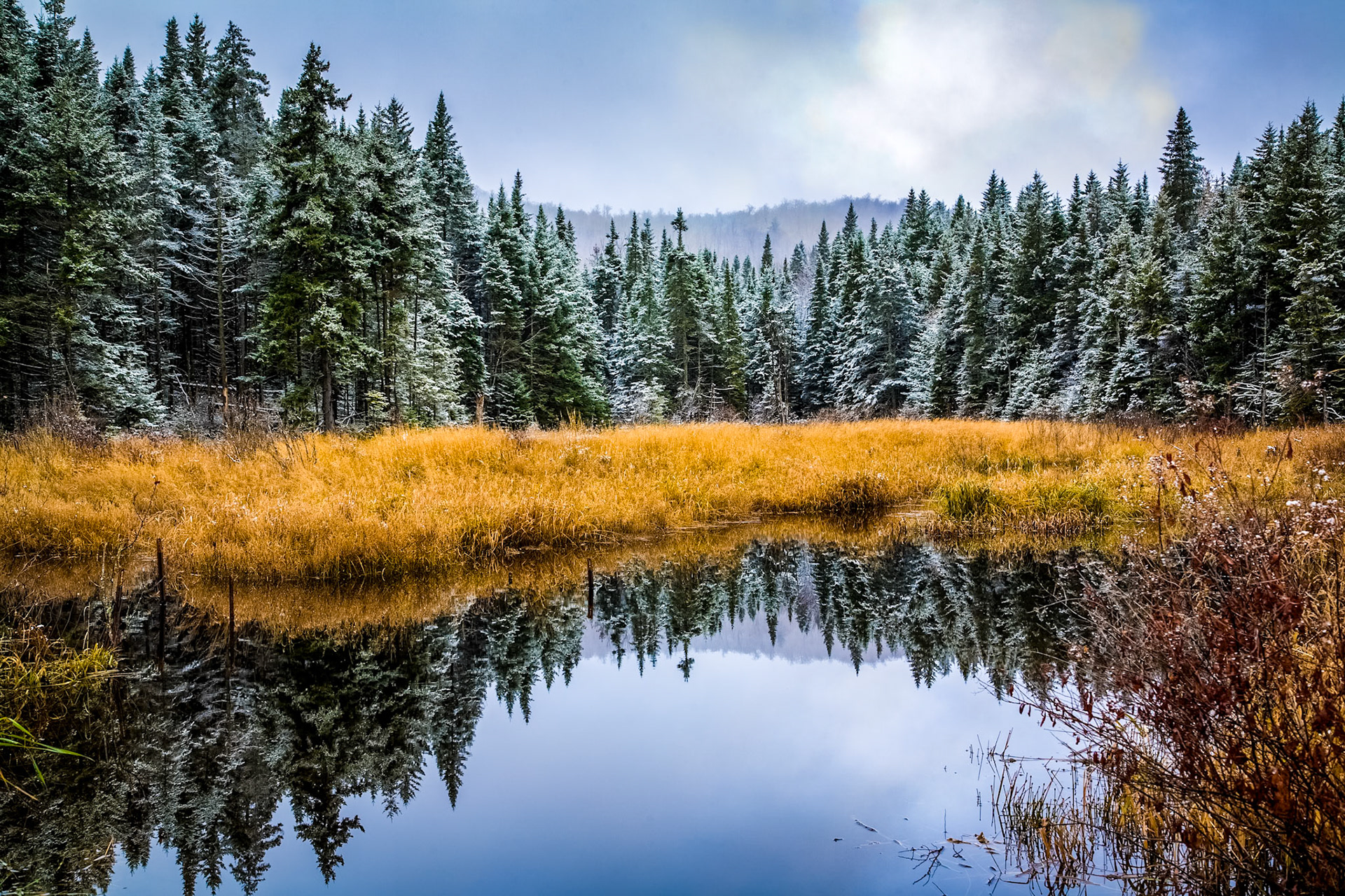 "Beaver Pond" --Shrewsbury