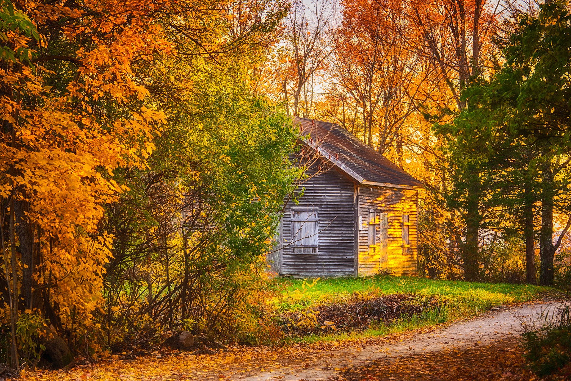 "Cabin in the Woods" --Orwell