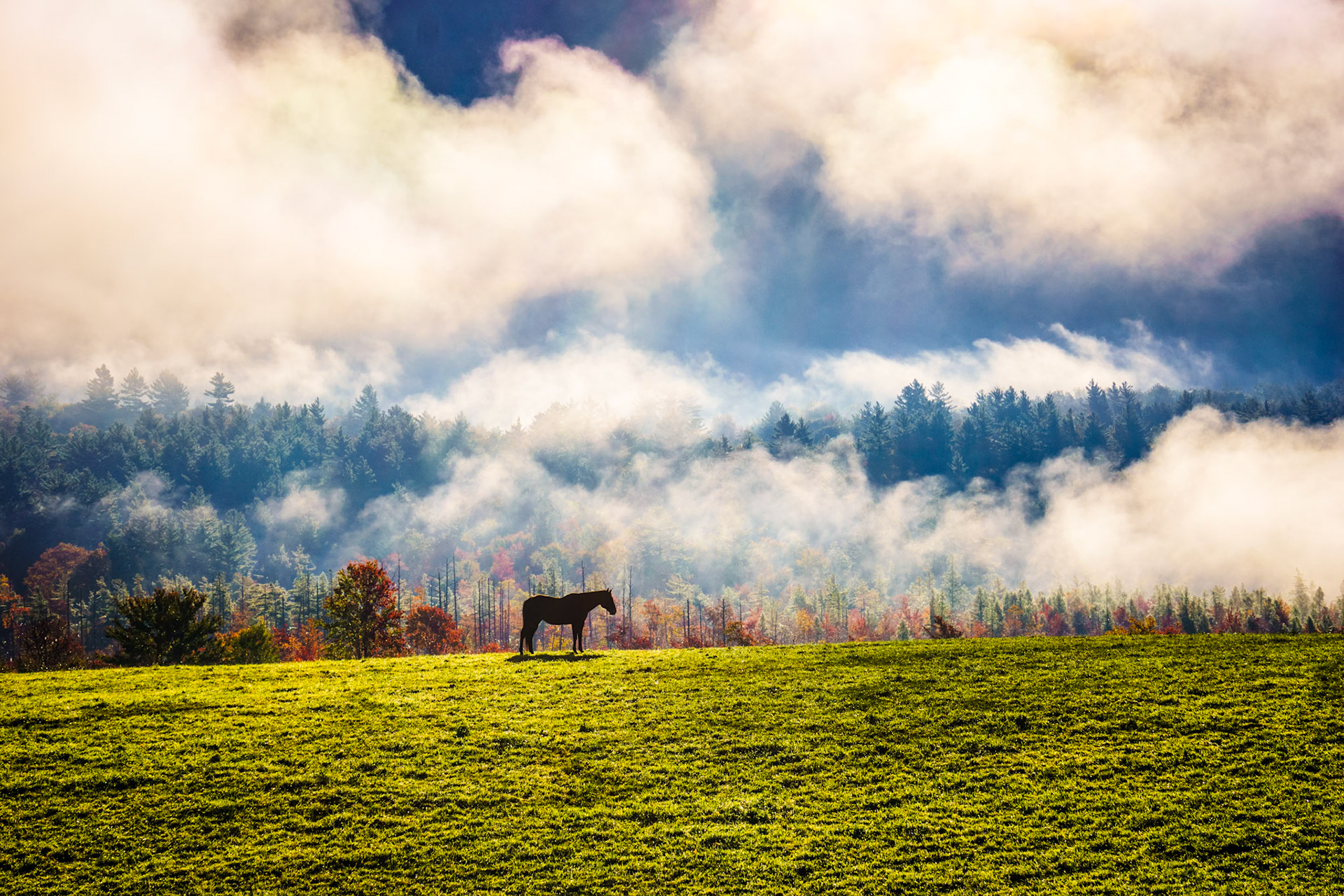 "Out of the Fog" --A lone horse is silhouetted by valley fog and a steep mountain. Danby, Vermont.