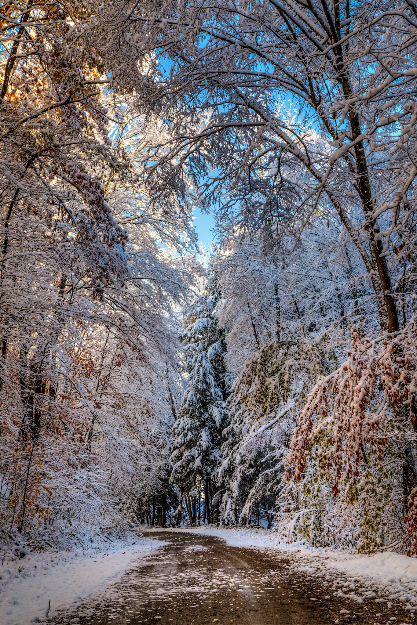 "Road South" --Danby