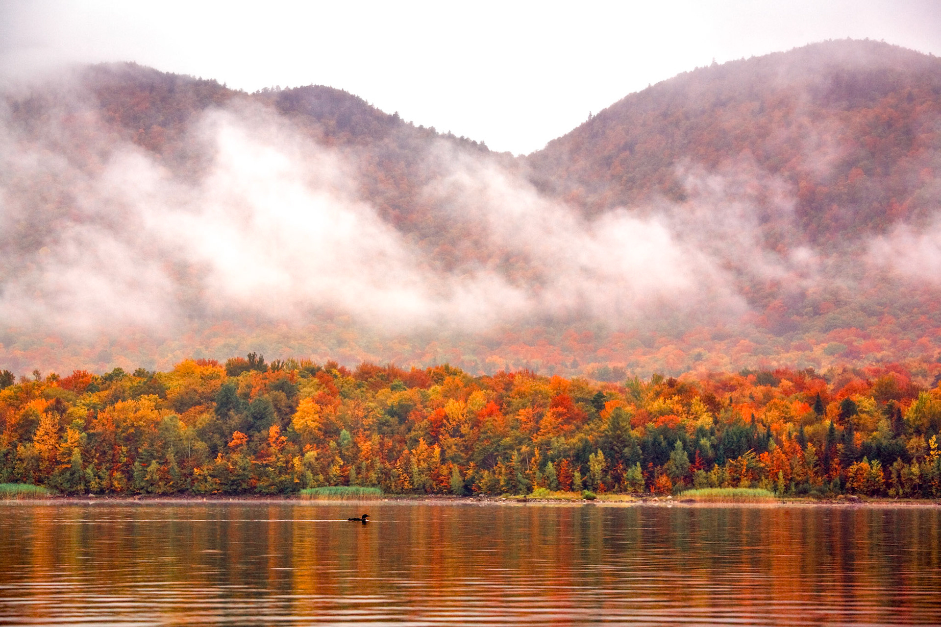 "Shoreline Passing" --Chittenden Reservoir