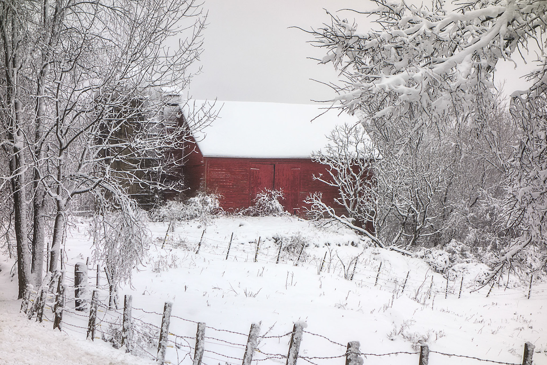 "Yule Barn" --Rutland