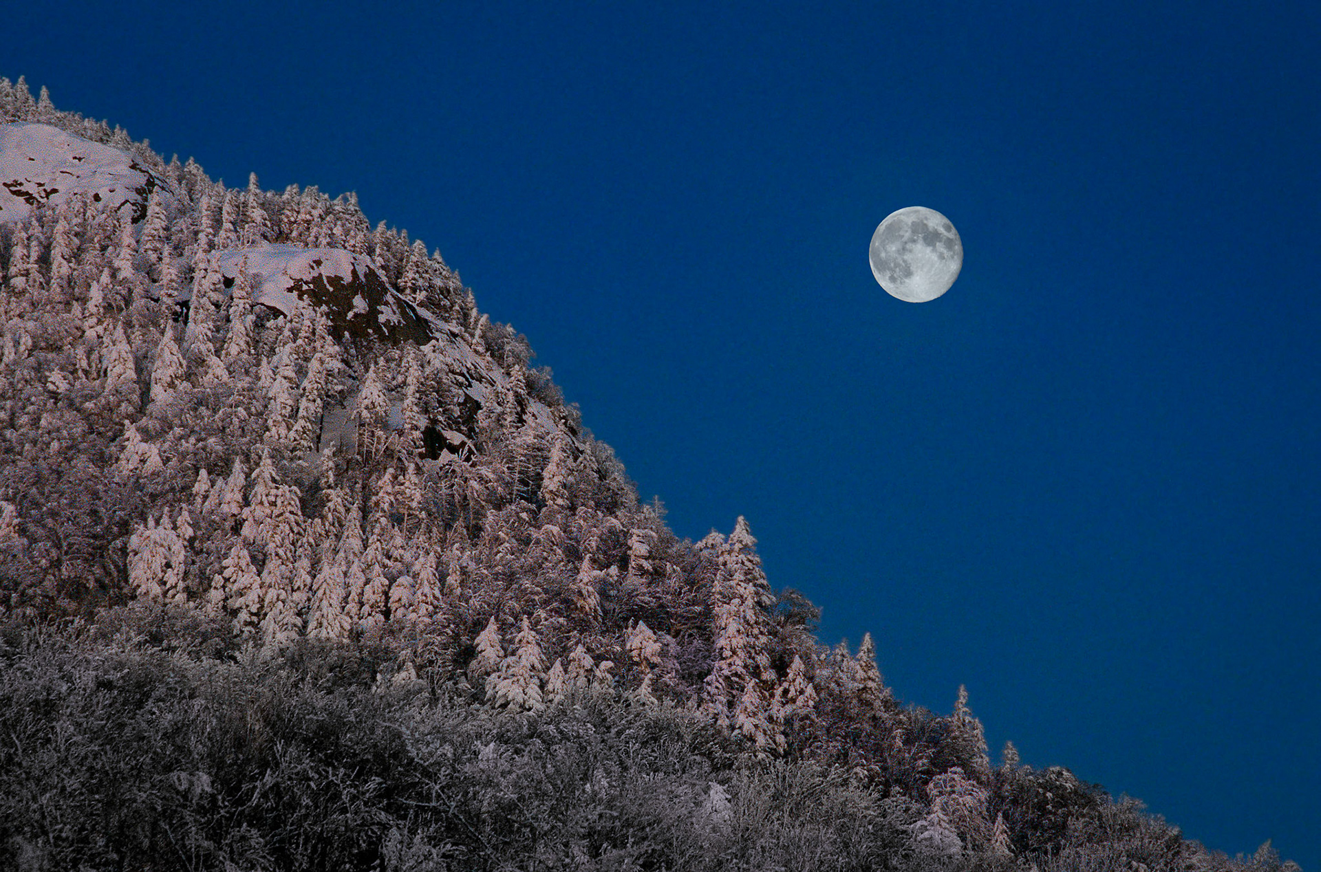 "Deer Leap Moonrise" --Mendon