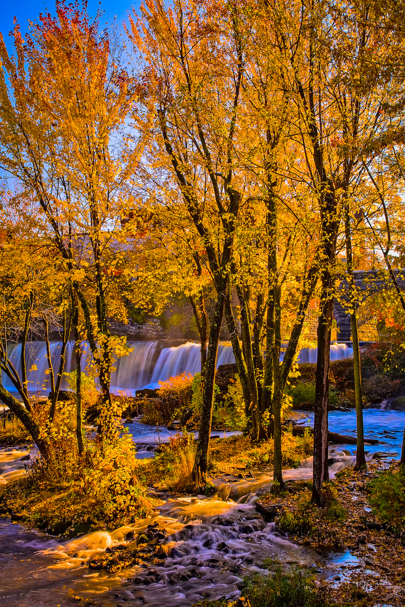 "Golden Cascade" --Middlebury