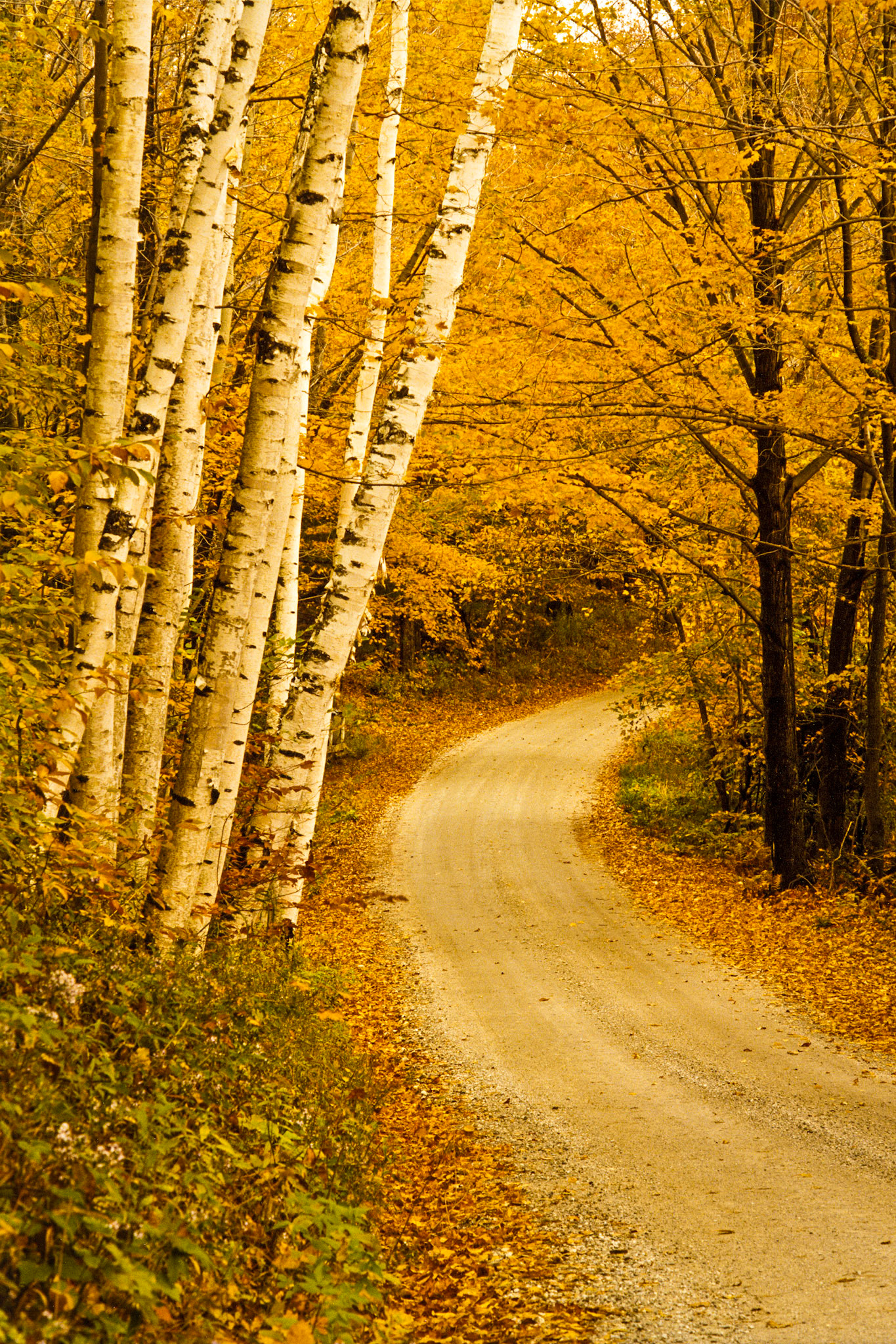 "Bend in the Road" --Anywhere