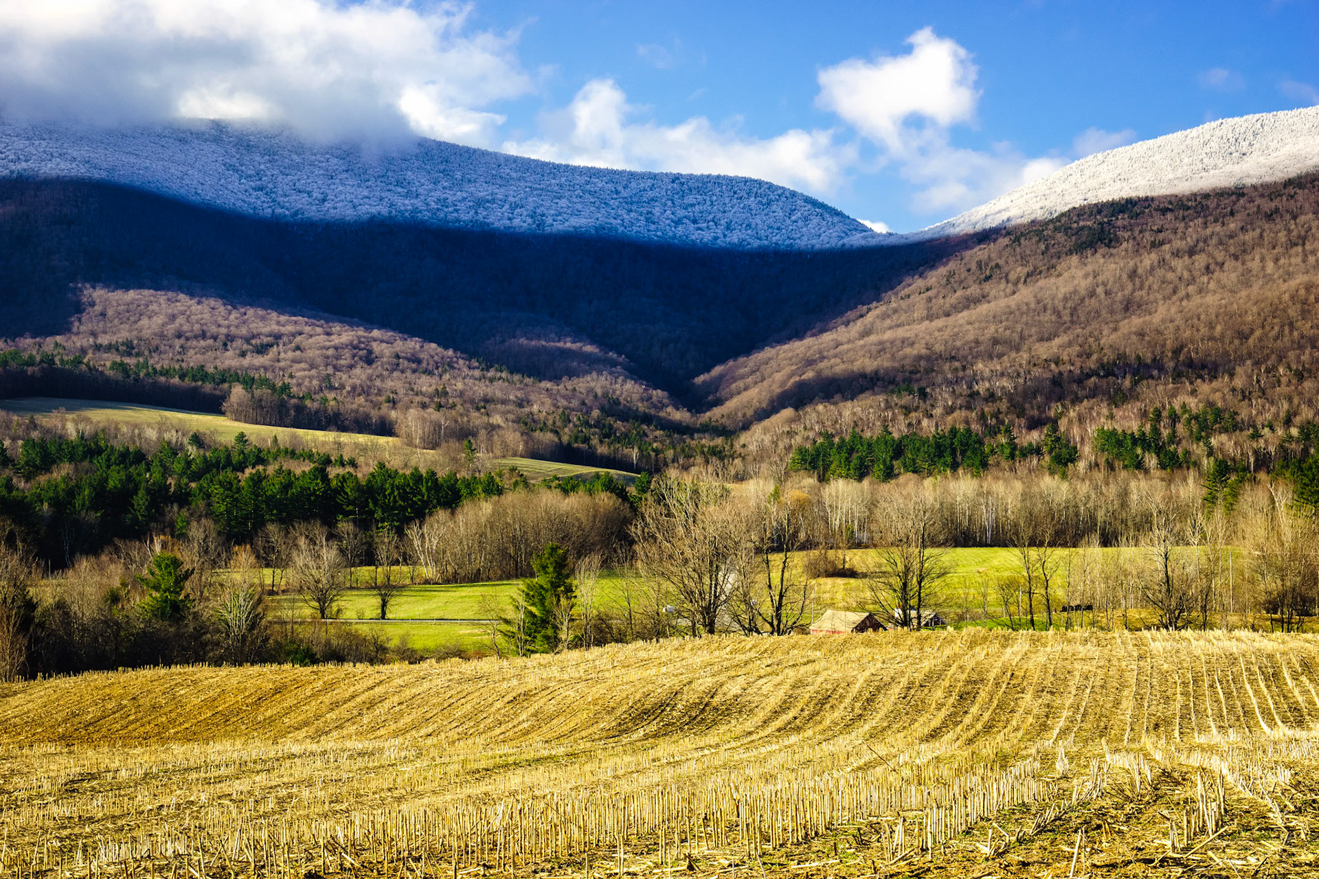 "Mountain Top Snow" --Danby