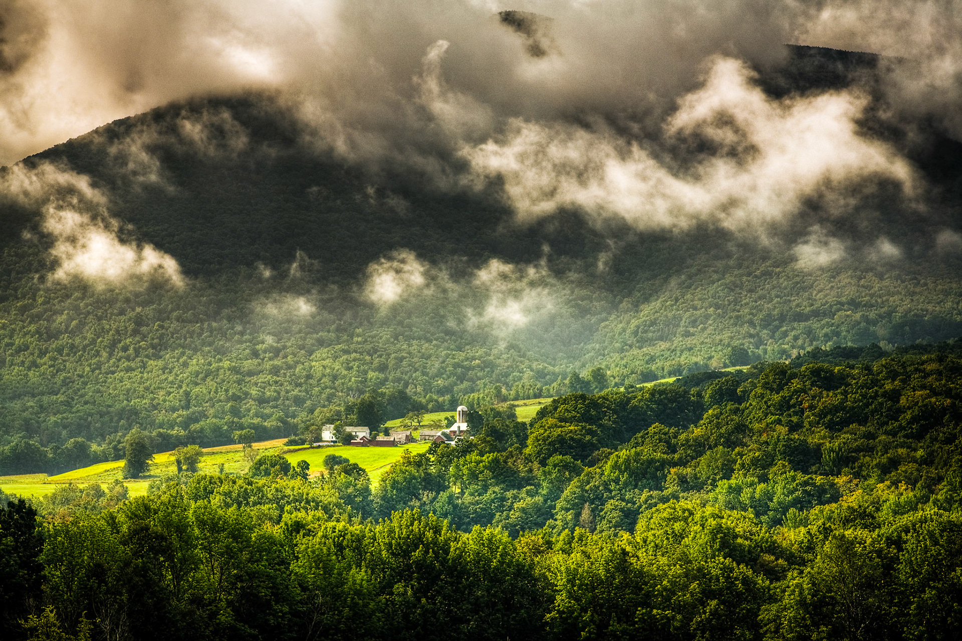 "Hillside Farm" --Danby