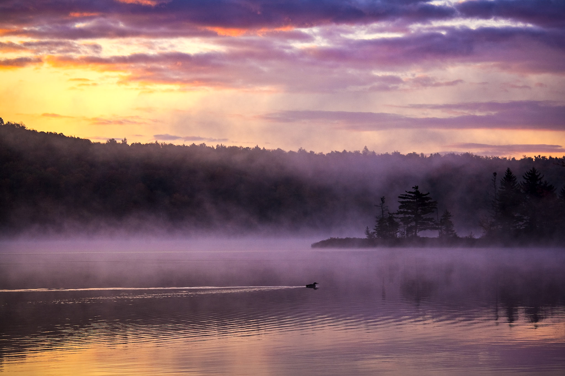 "Cool Mist" --Lake Ninevah, Mt. Holly