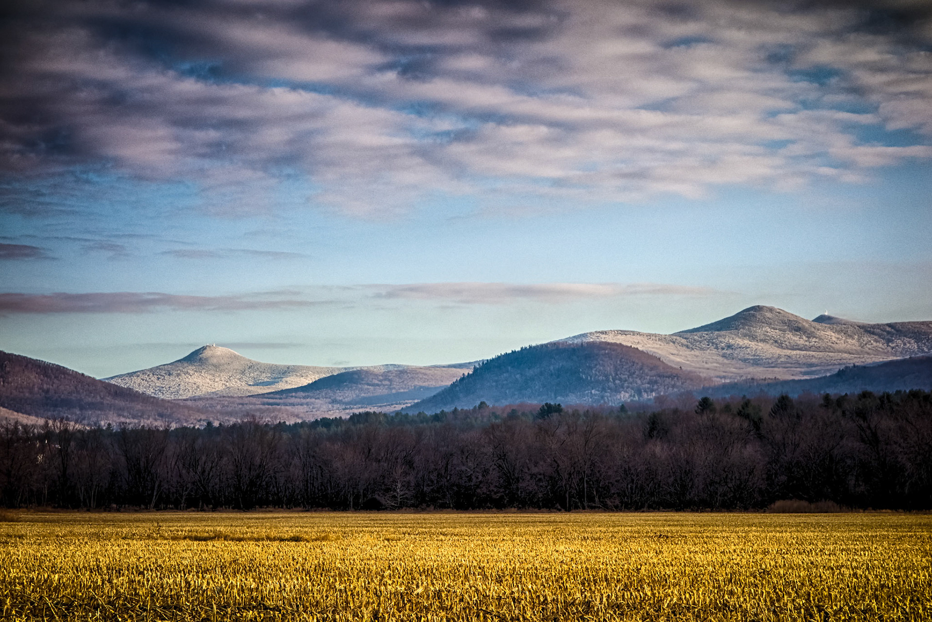 "December Cornfield" --Clarendon