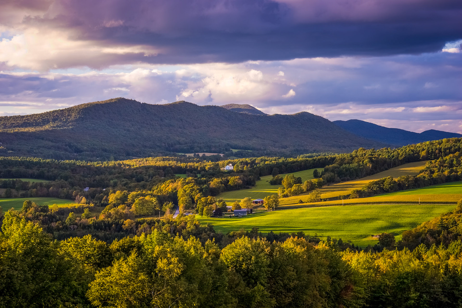 "Rolling Meadows" --Danby