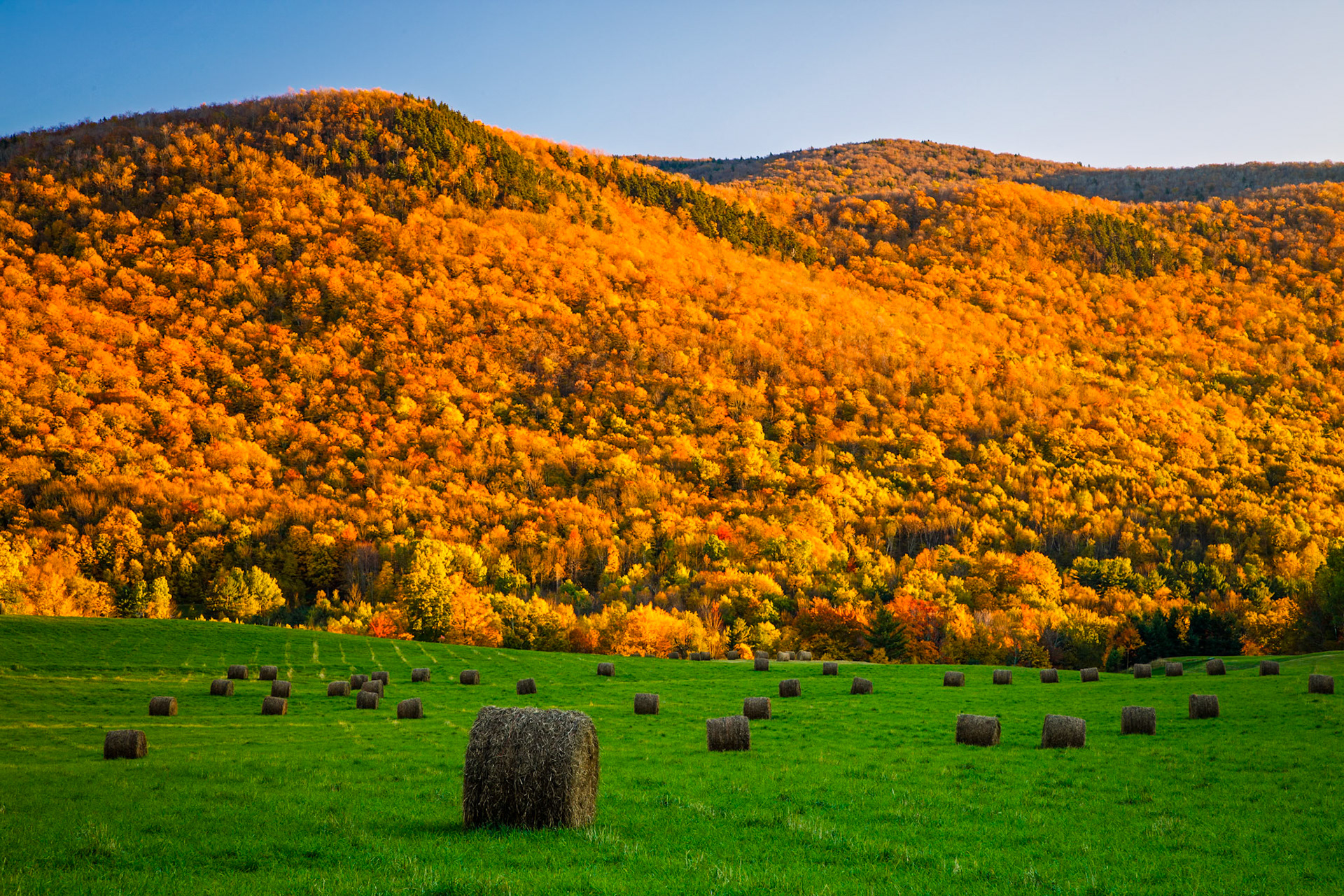 "Hay Bales" --Pawlet