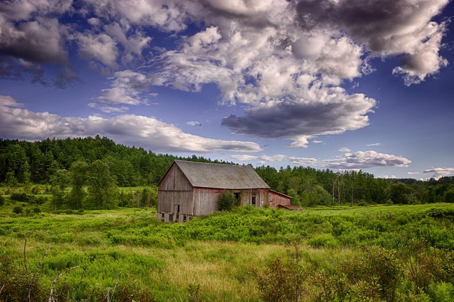 "Summer Landscape" --Bensen