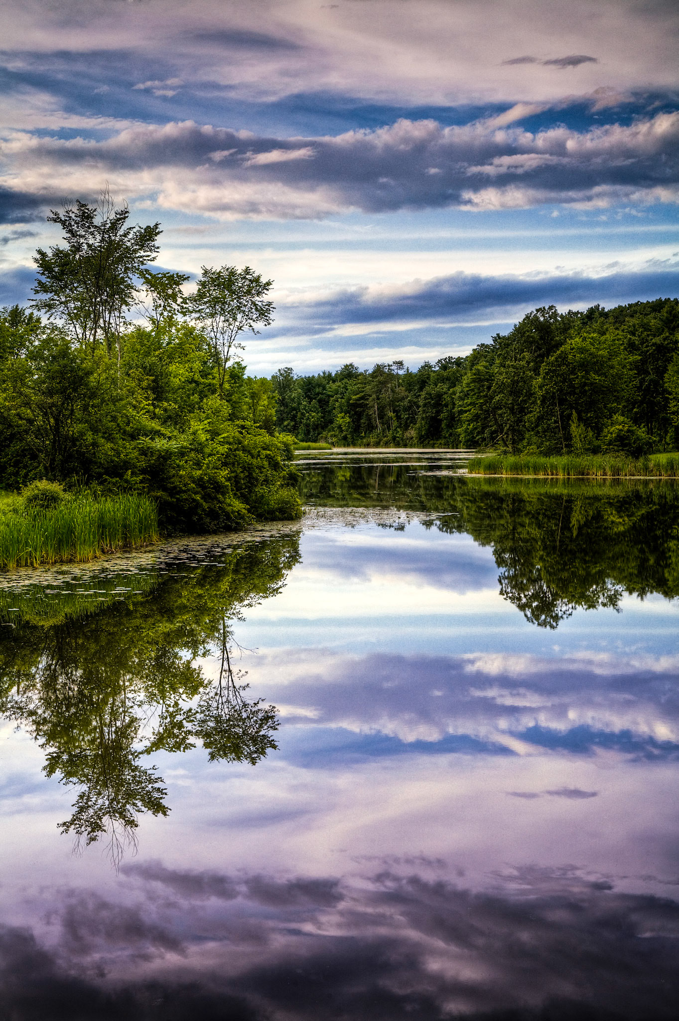 "Mill Pond" --Bensen