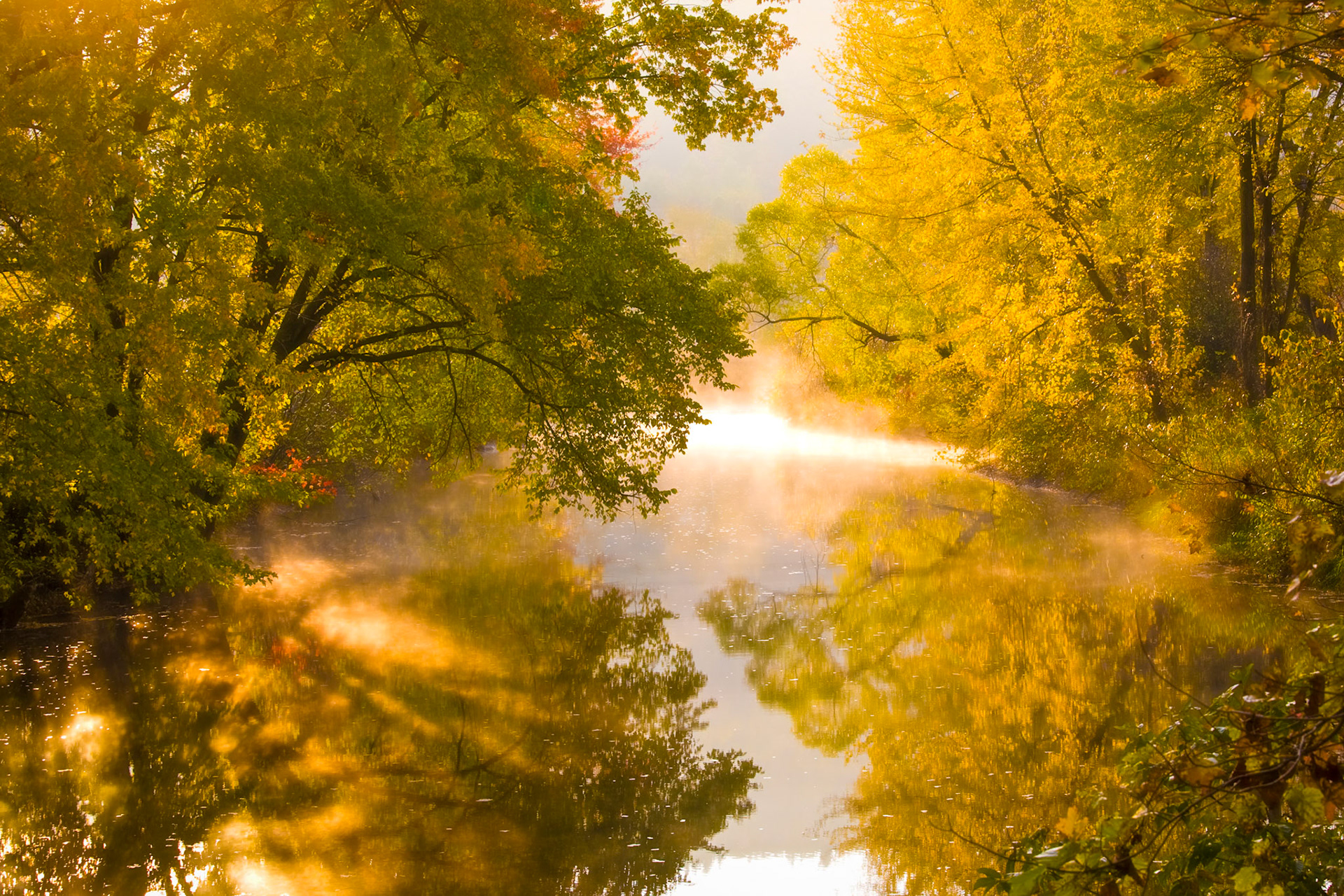 "Creekside Foliage" --Otter Creek, Wallingford
