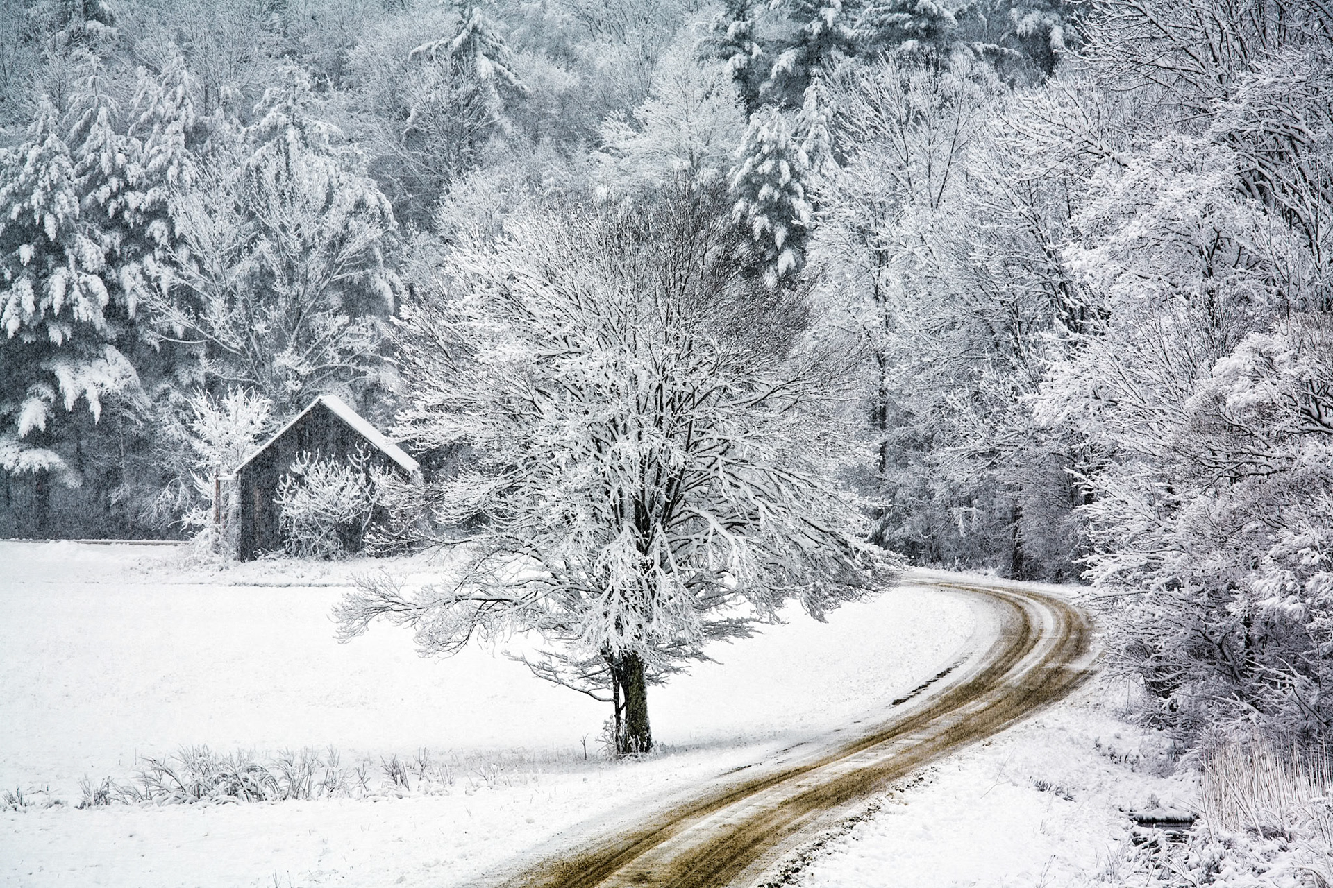"April Storm" --Pittsford
