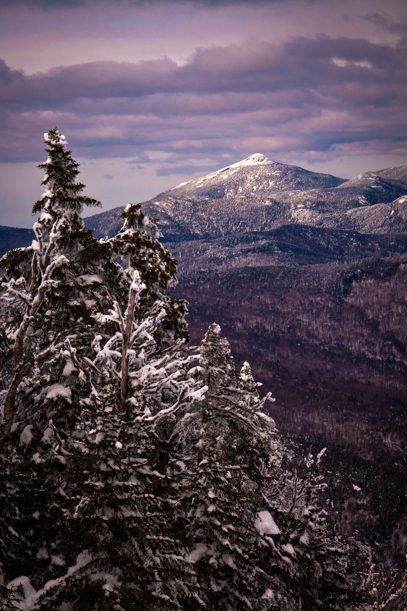 "North to Camel's Hump" --Fayston