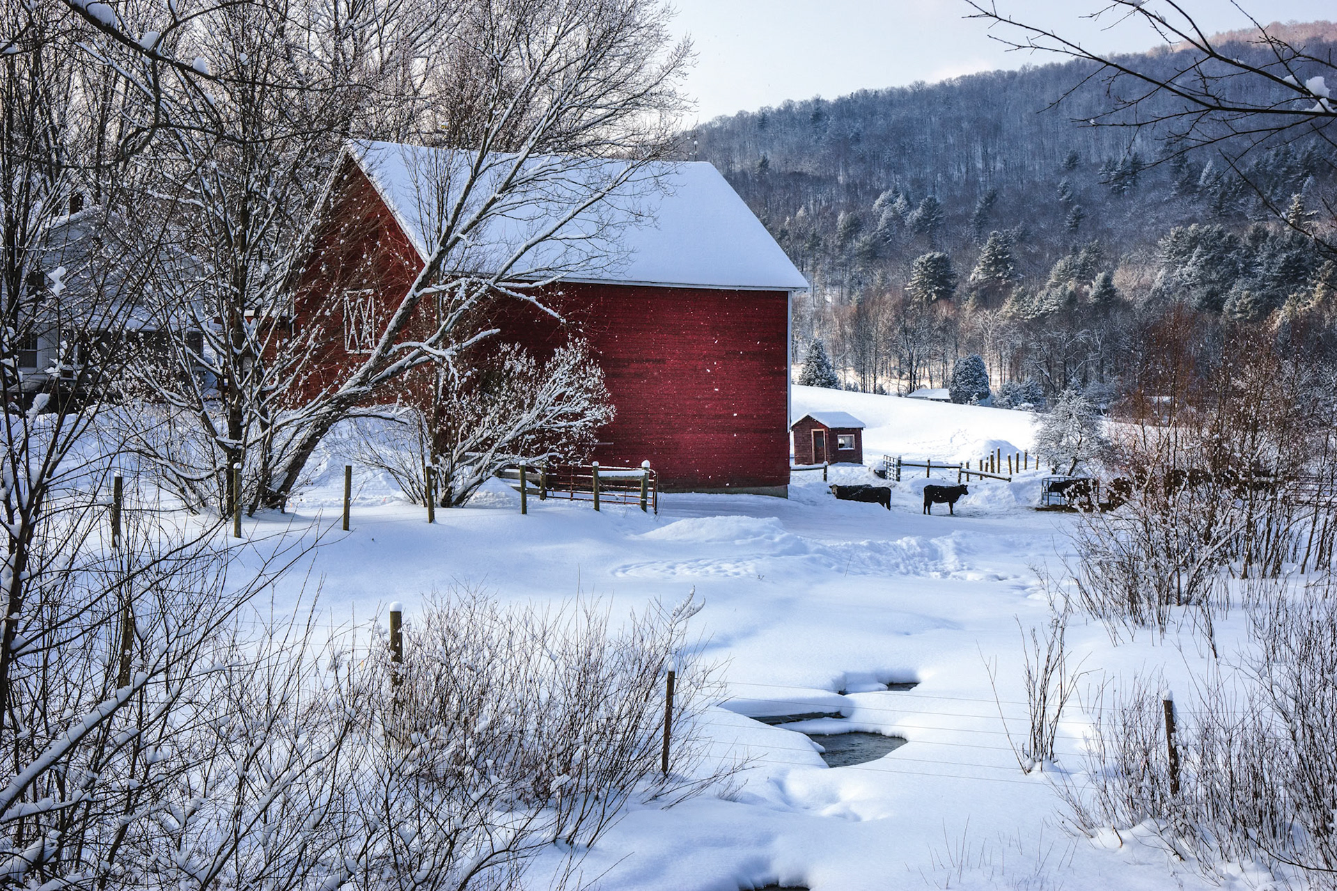 "Creekside Barn" --Middletown Springs