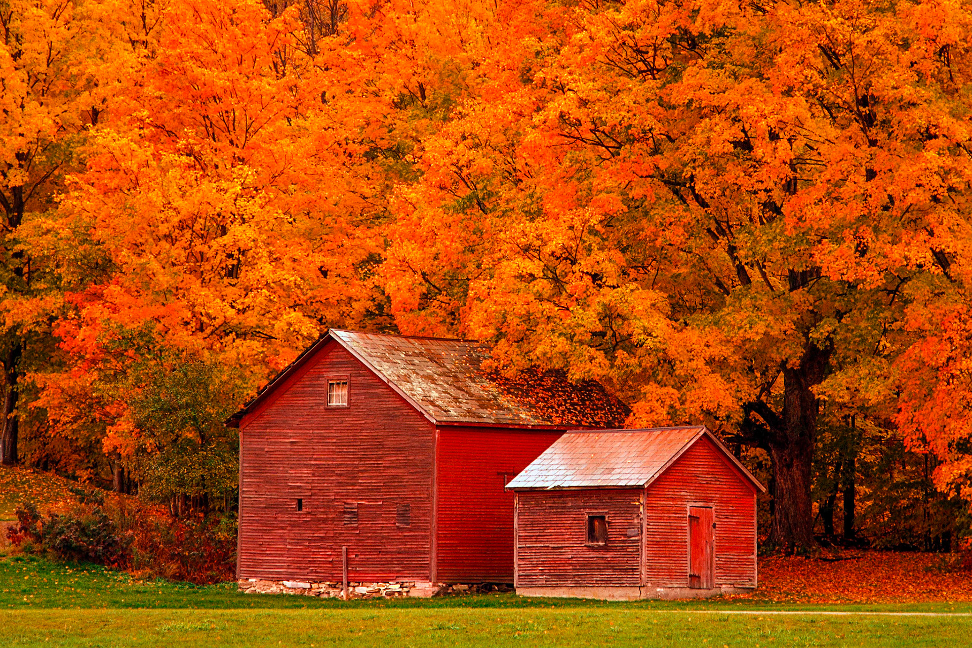 "Barns and Foliage" --Danby