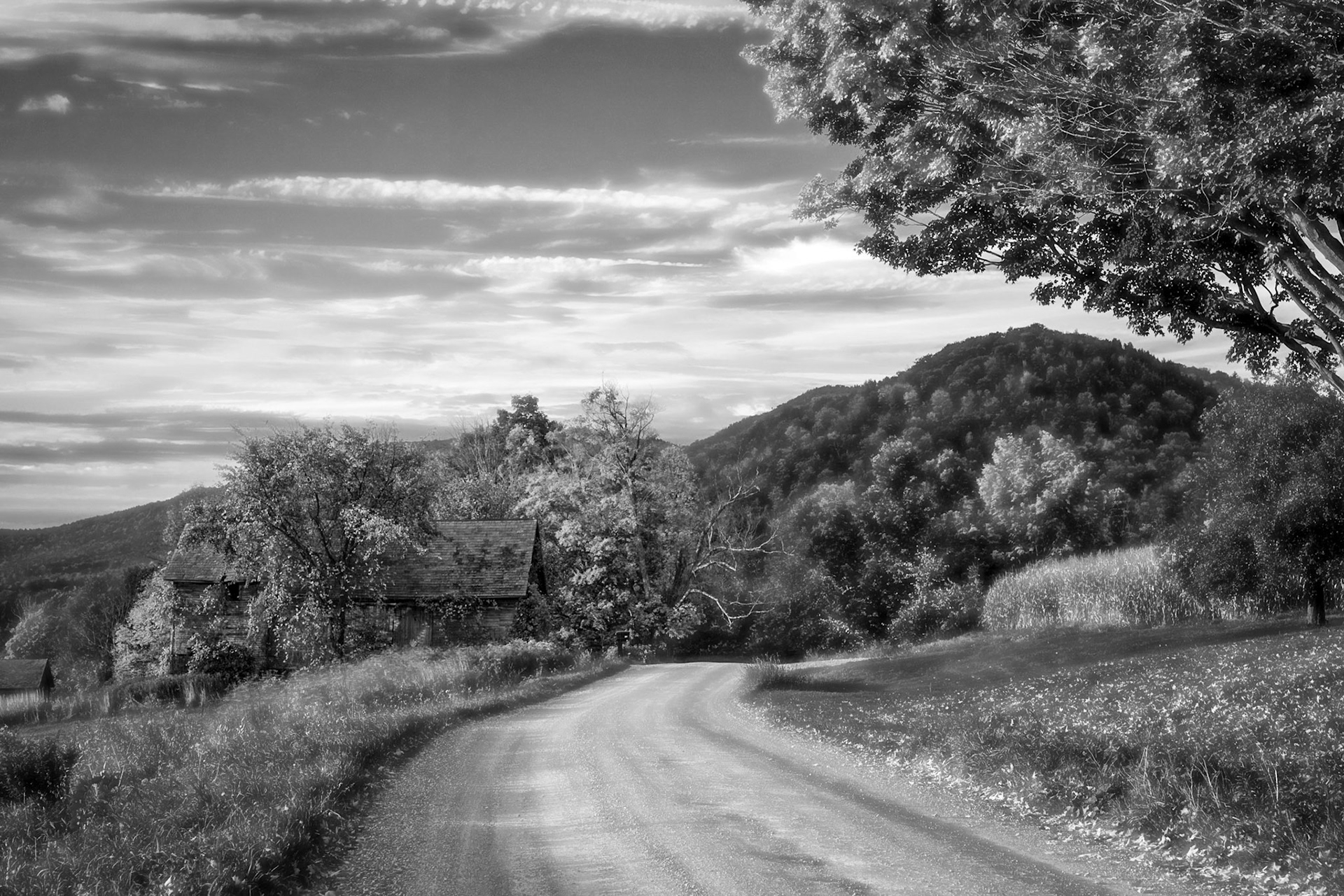 "Road Scene" --Tinmouth