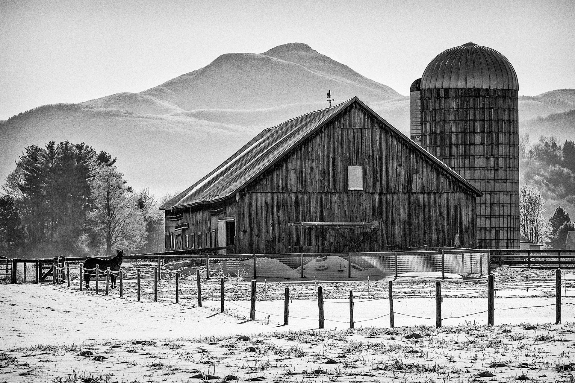 "Horse Barn" --Williston