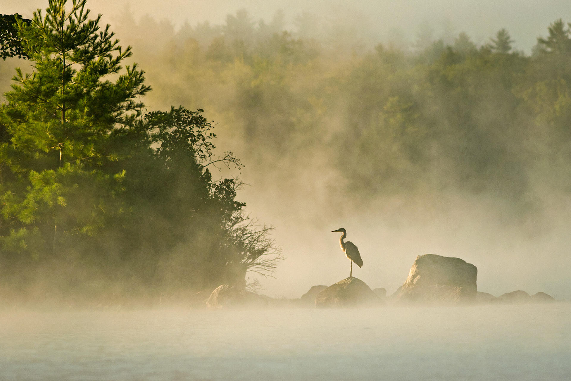 "Morning Sentinel" --Lake Winnipesaukee, NH