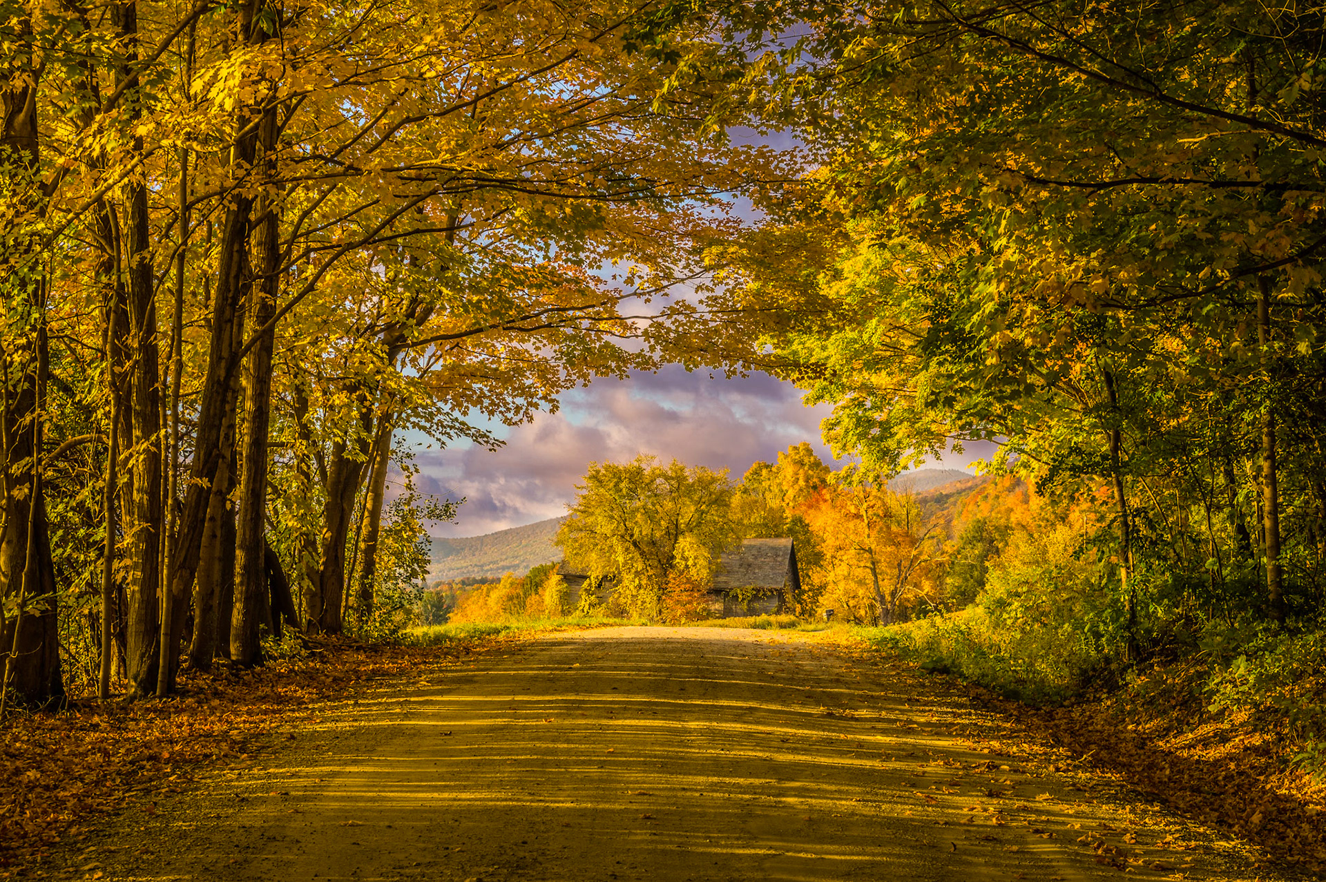 "Autumn Journey" --Tinmouth