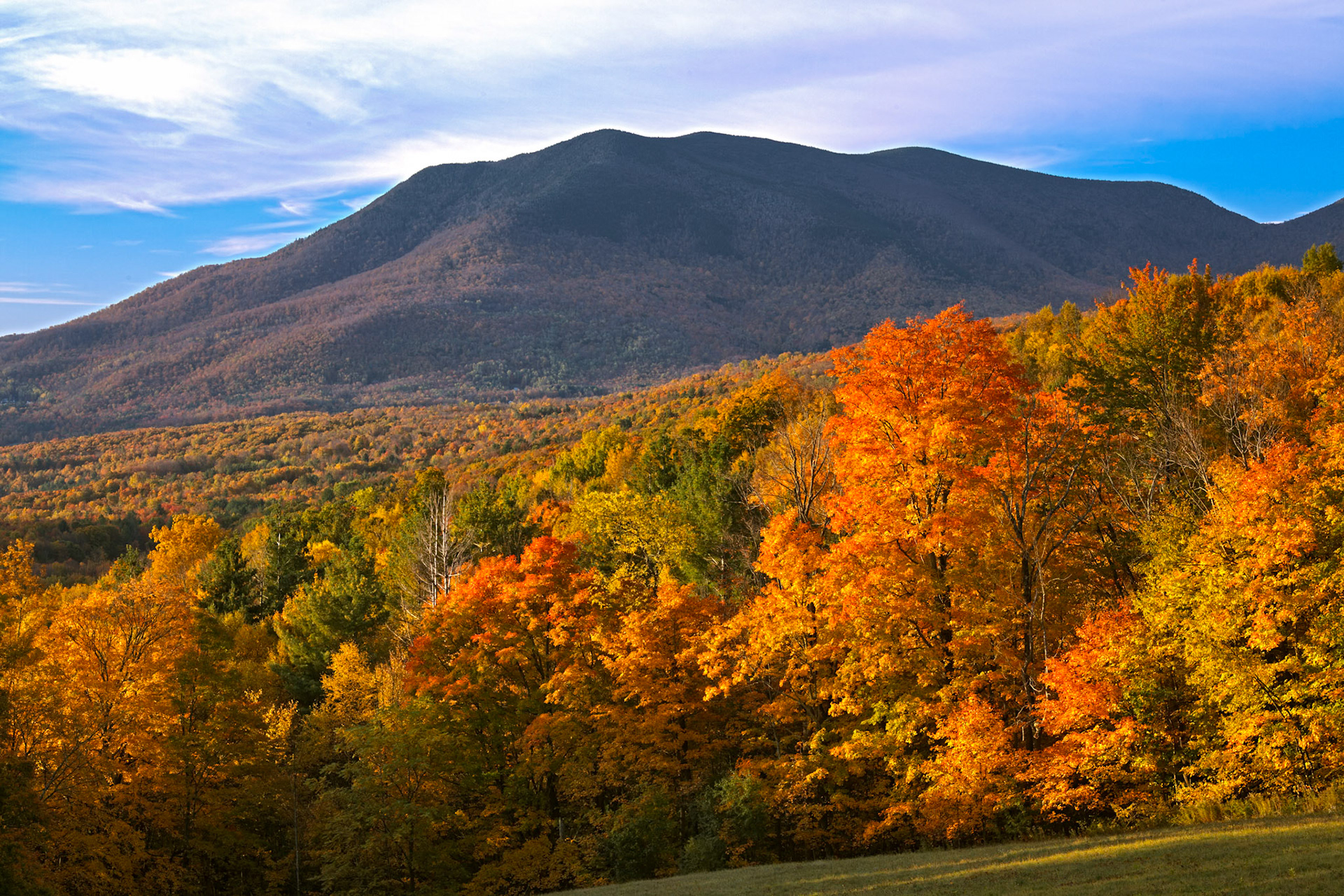"Danby Mountain Foliage" --Danby