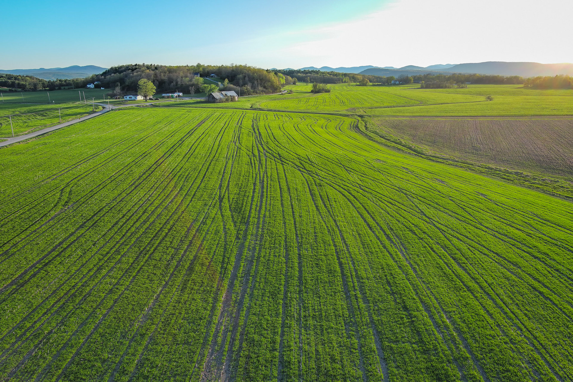 "Green Fields" --Orwell