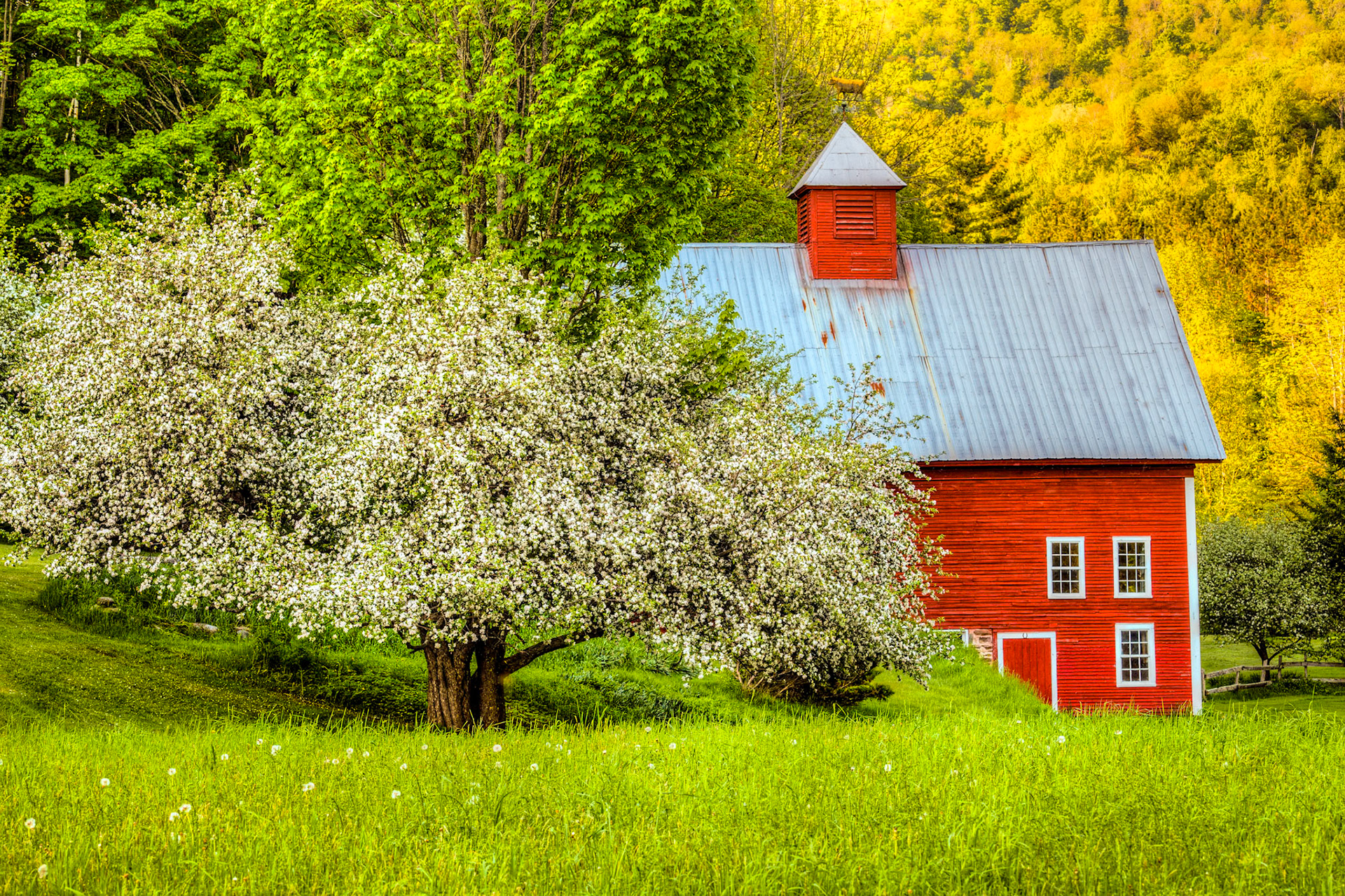 "River Road Barn" --Chittenden