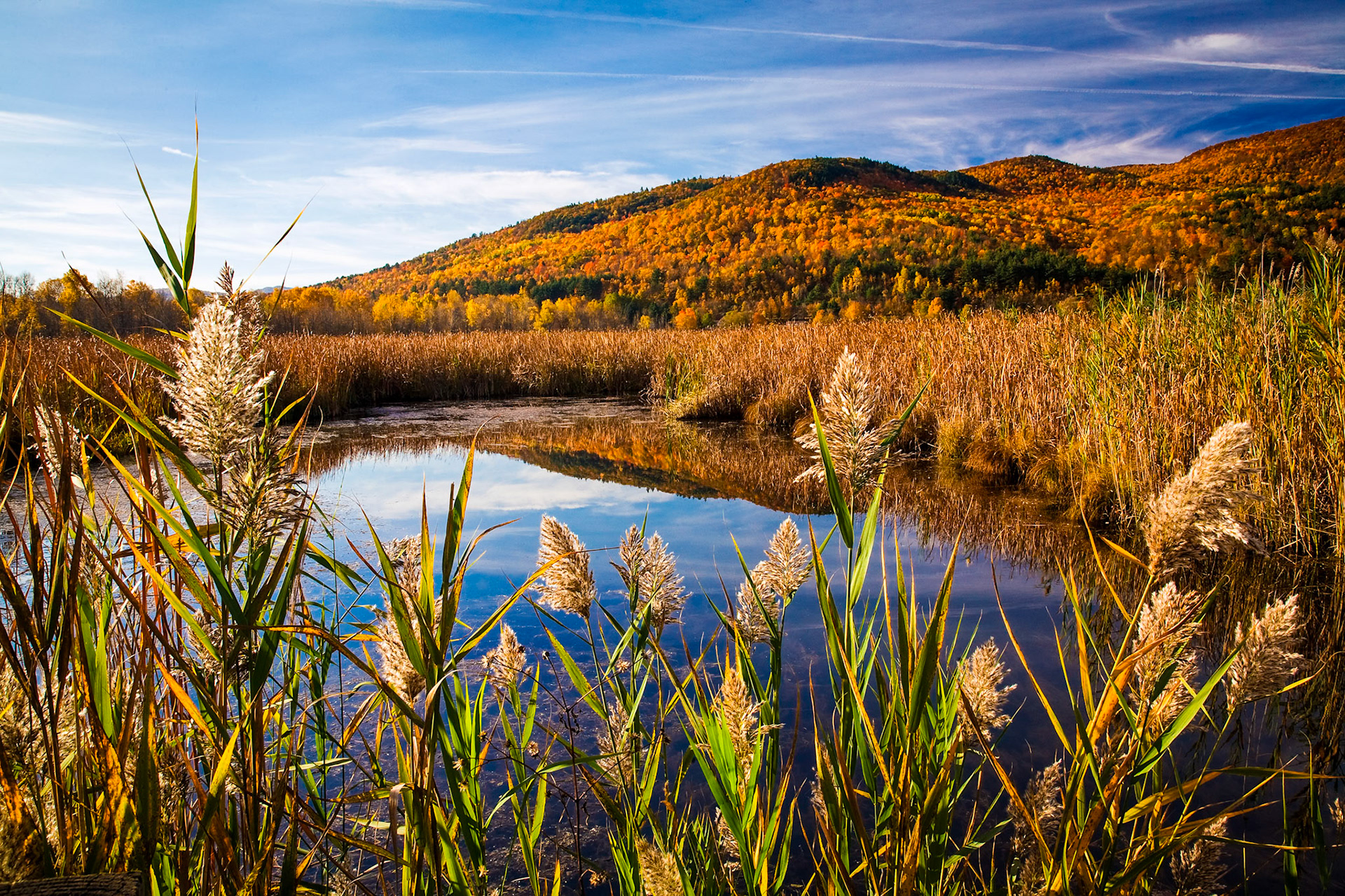 "Marshland" --West Rutland