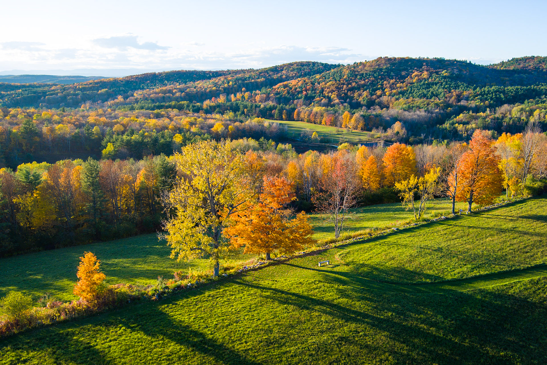 "Park Bench" --Hubbardton