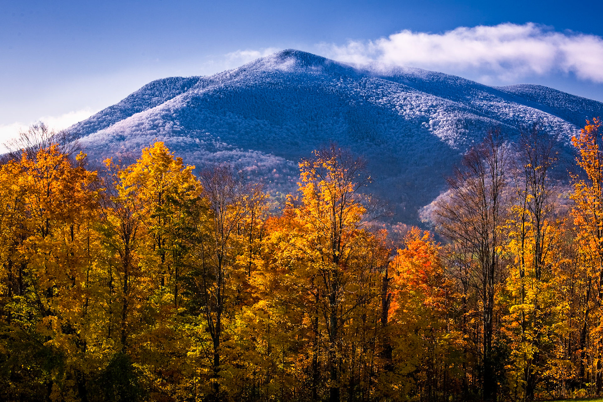 "Seasons Meeting" --Danby