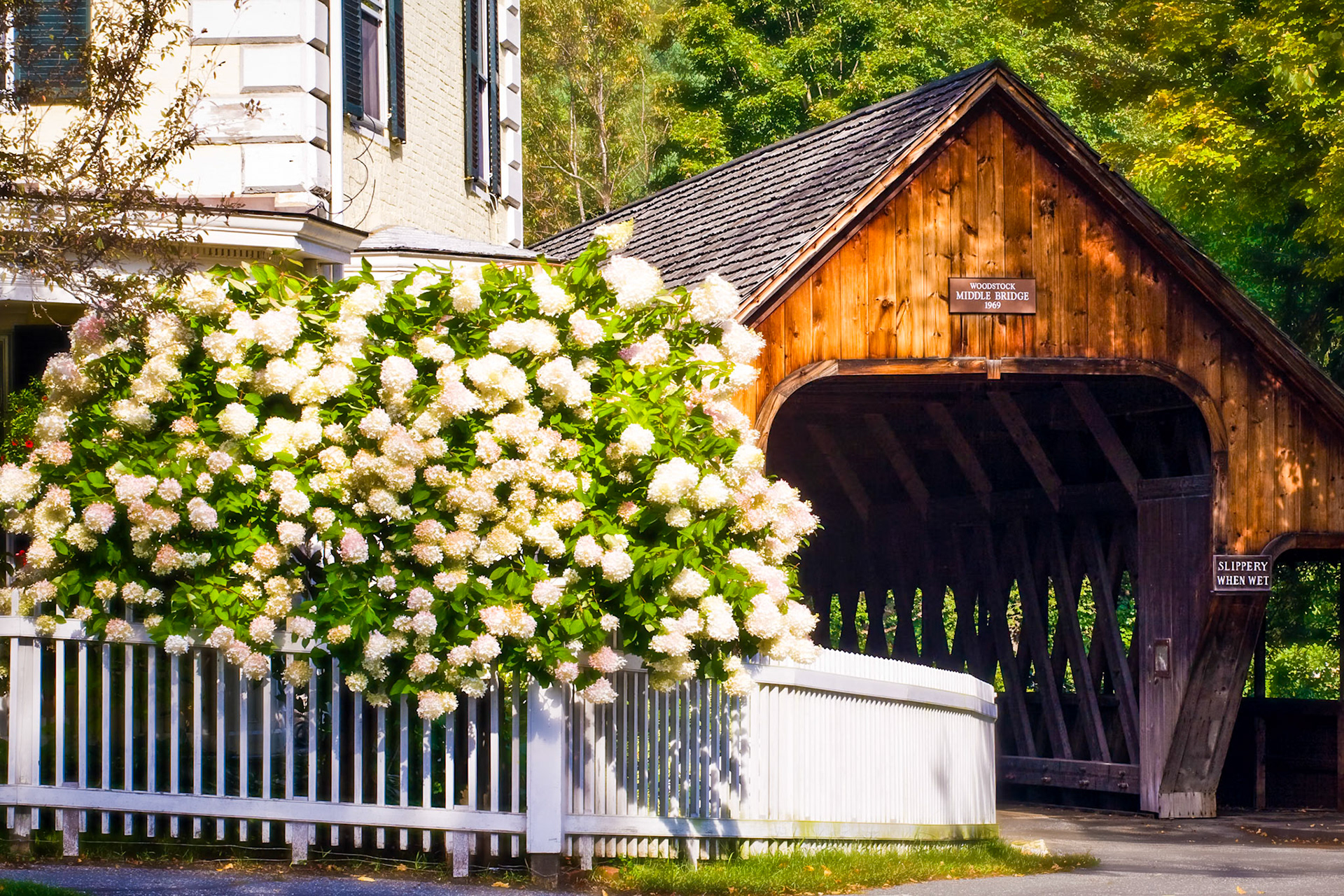 "Late Summer Blooms" --Woodstock