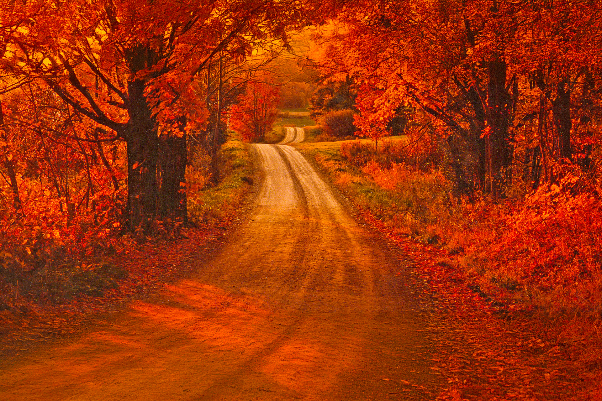 "Autumn Warmth" --Danby