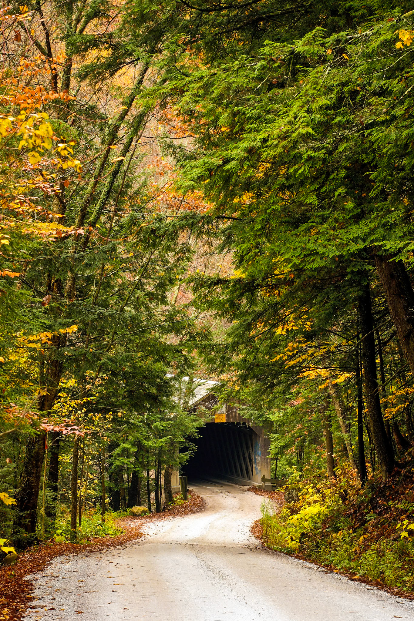 "Autumn Entrance" --Shrewsbury