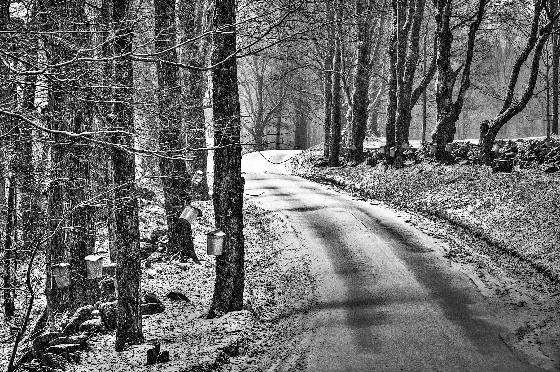 "Sugar Snow" --Shrewsbury