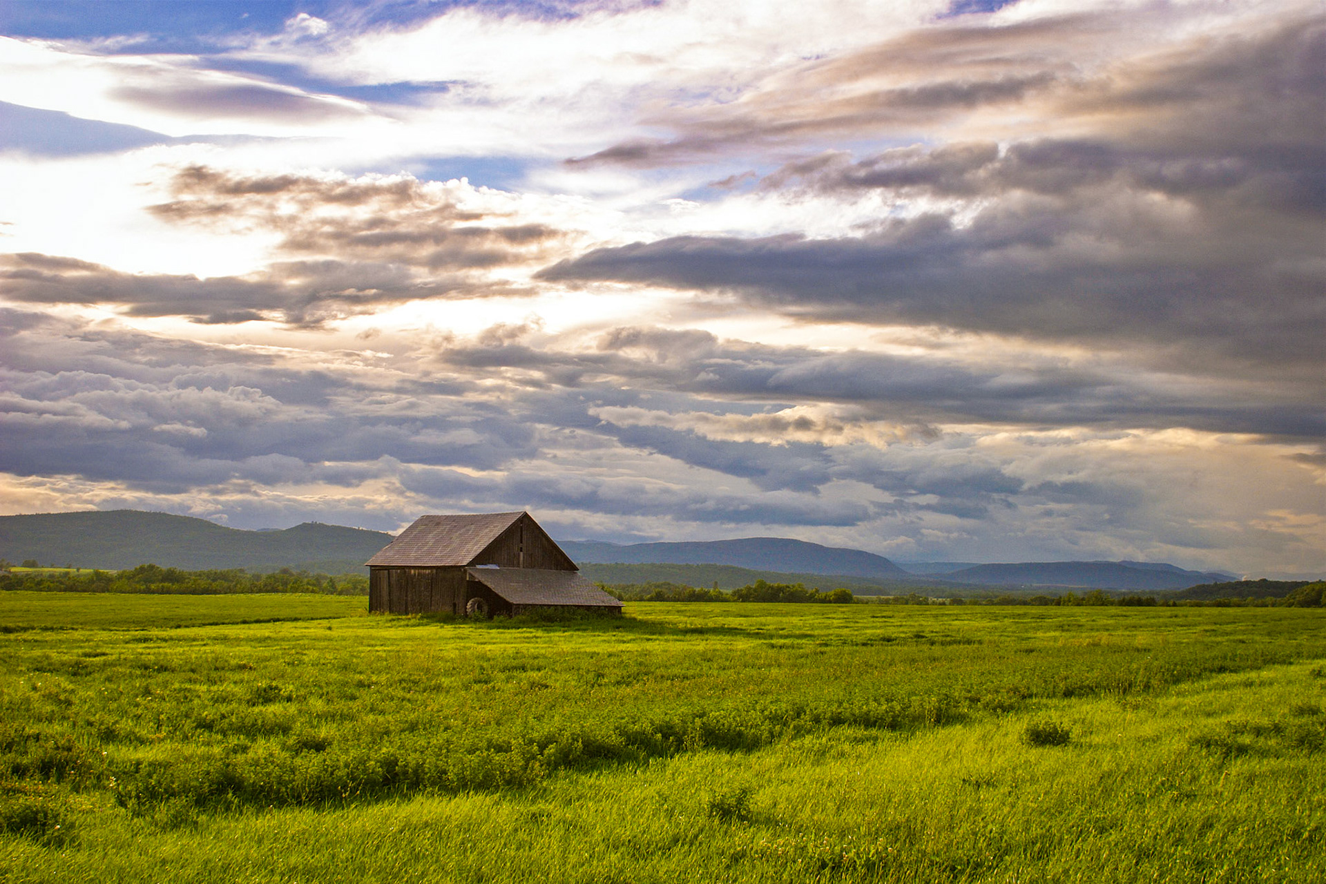 "Clearing Sky" --Orwell